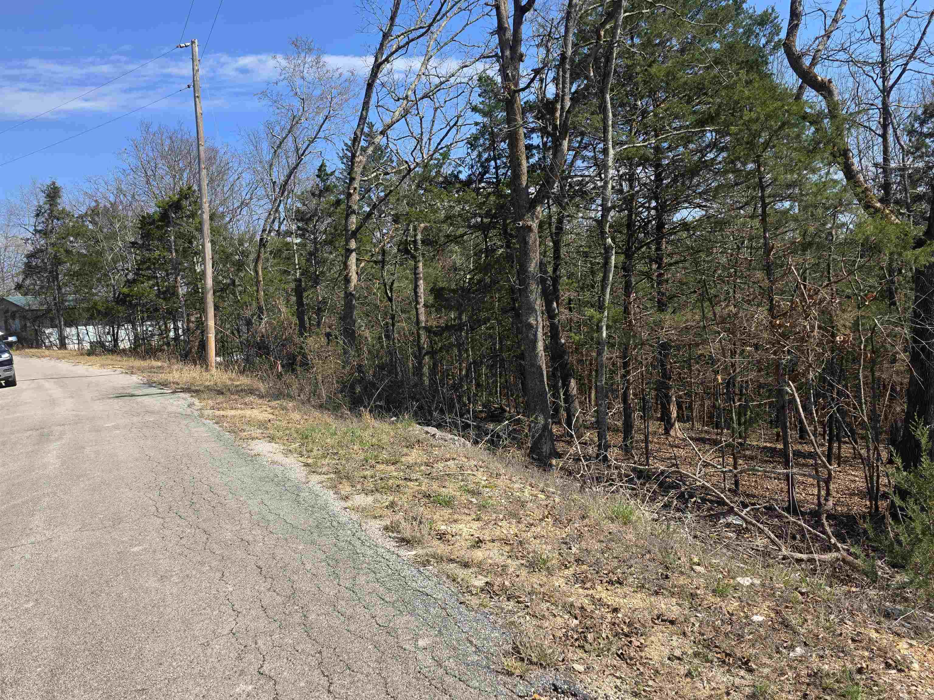 Photo 12 - Vacant Land for sale – L28 B3  Ohew   Cherokee Village, AR