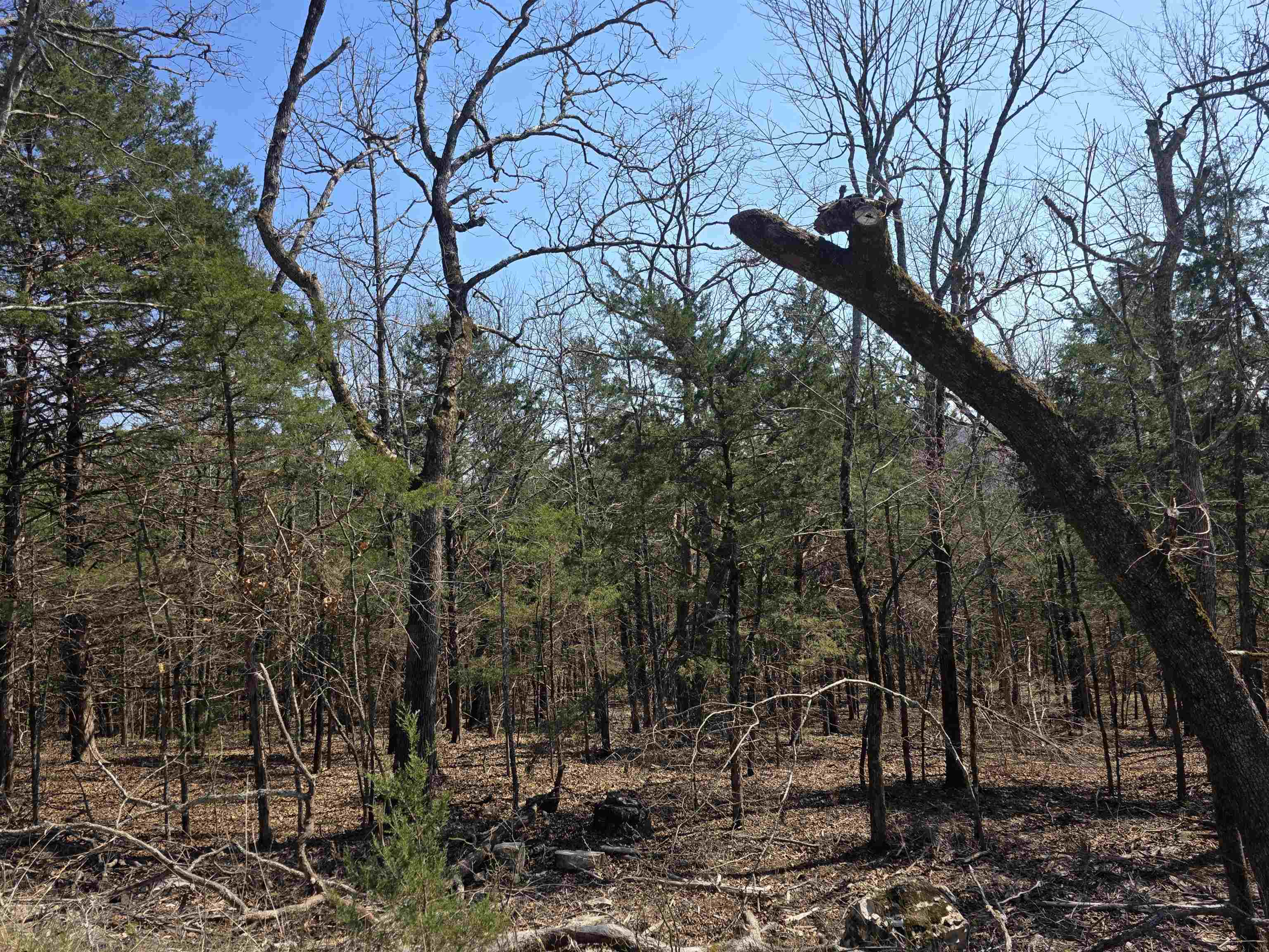 Photo 13 - Vacant Land for sale – L28 B3  Ohew   Cherokee Village, AR