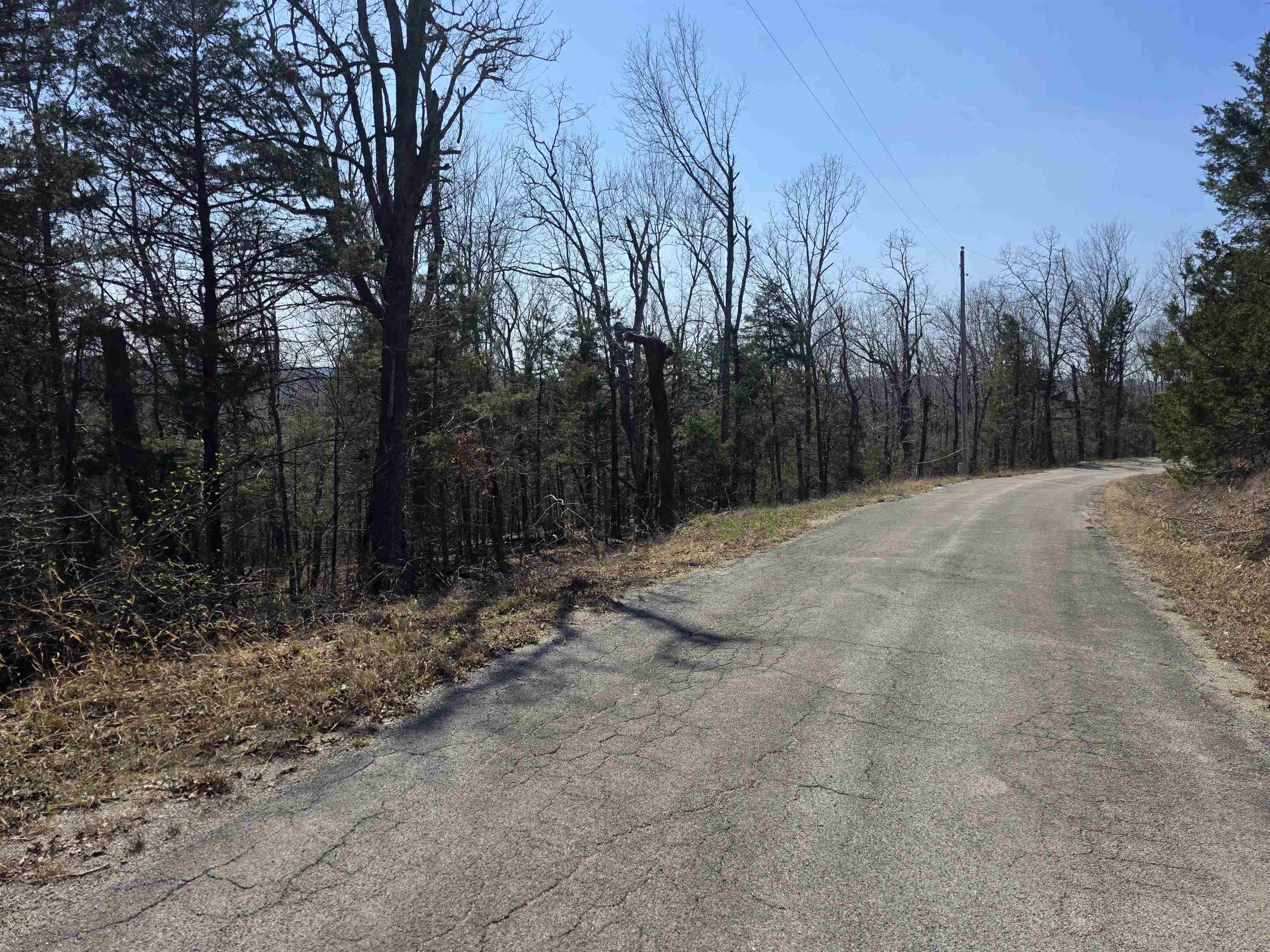 Photo 3 - Vacant Land for sale – L28 B3  Ohew   Cherokee Village, AR