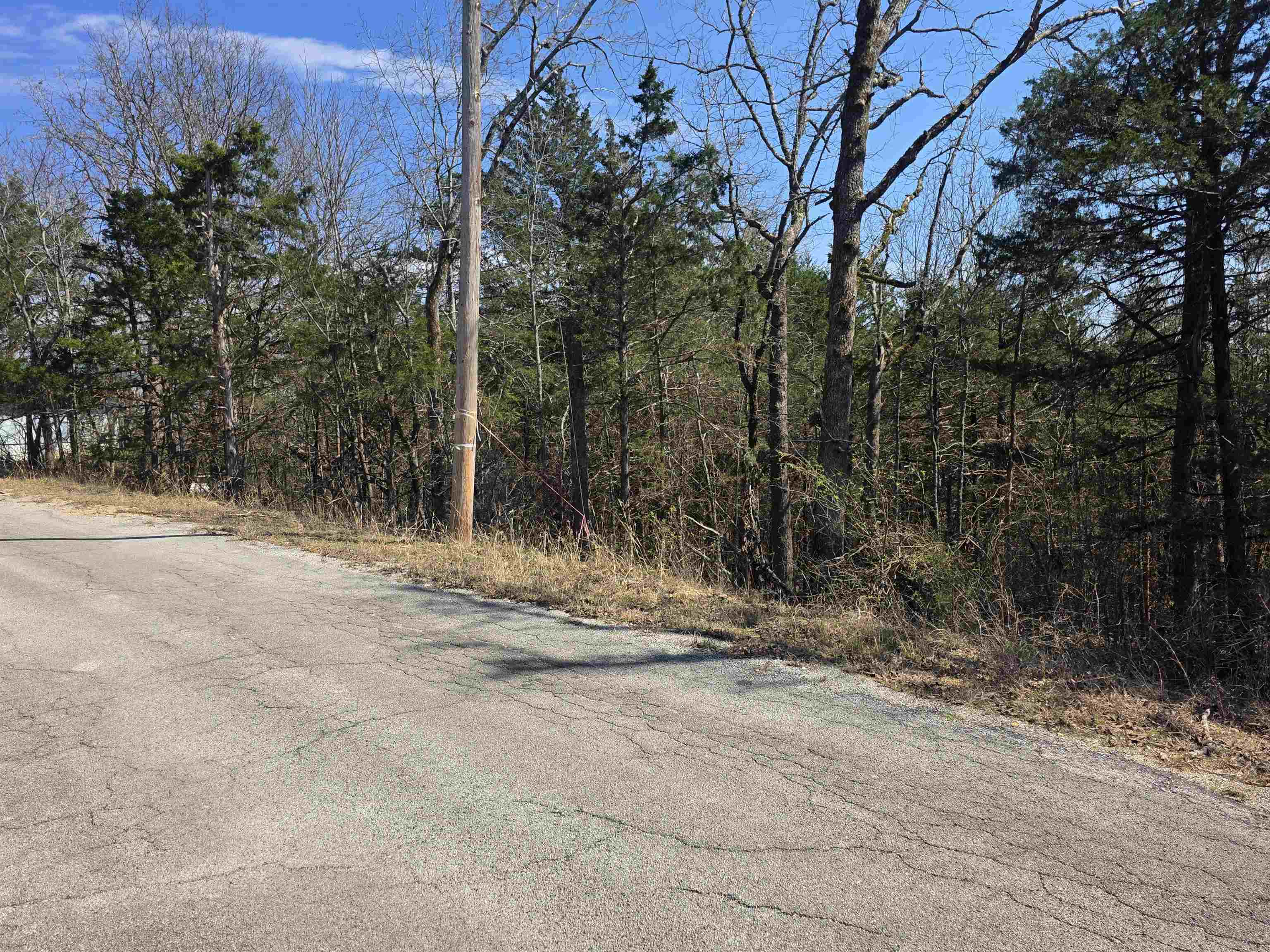 Photo 4 - Vacant Land for sale – L28 B3  Ohew   Cherokee Village, AR