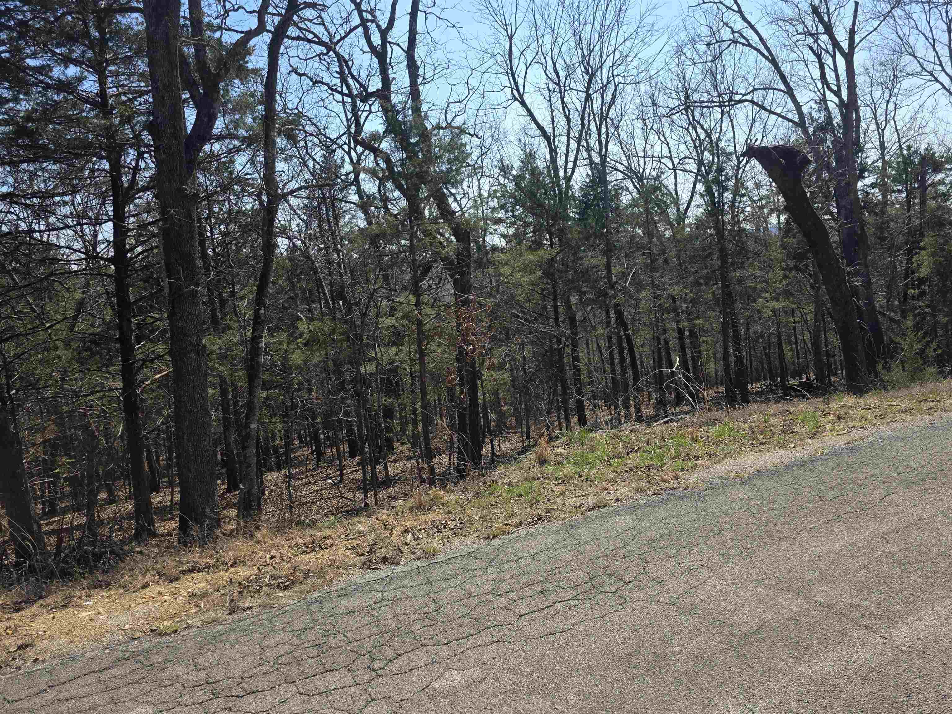 Photo 6 - Vacant Land for sale – L28 B3  Ohew   Cherokee Village, AR