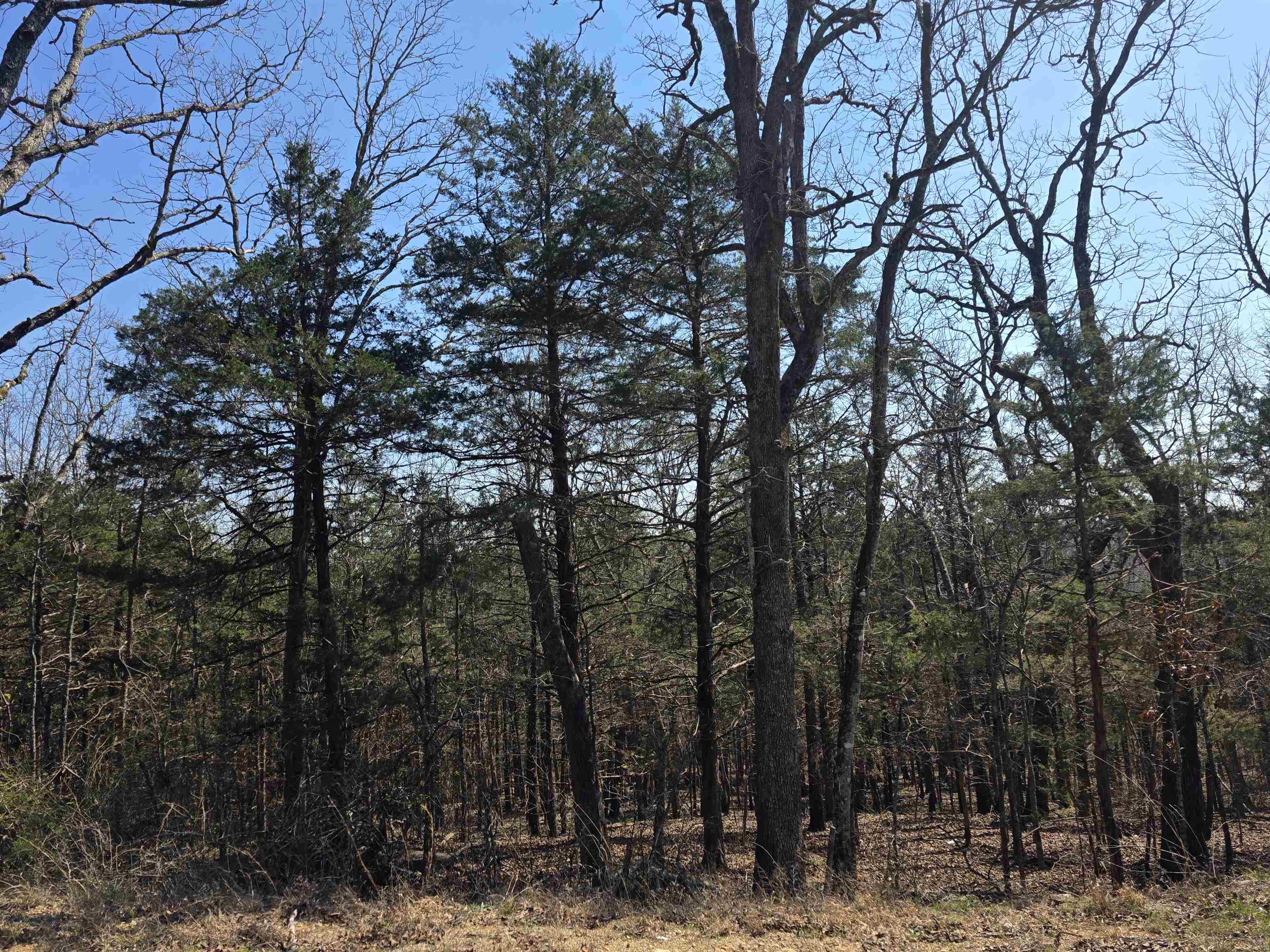 Photo 7 - Vacant Land for sale – L28 B3  Ohew   Cherokee Village, AR