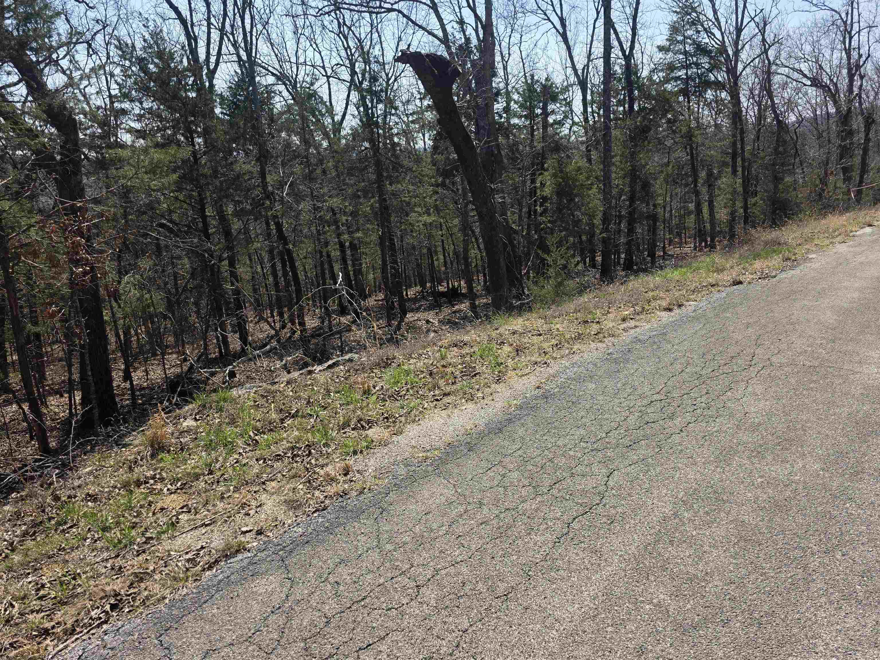 Photo 9 - Vacant Land for sale – L28 B3  Ohew   Cherokee Village, AR