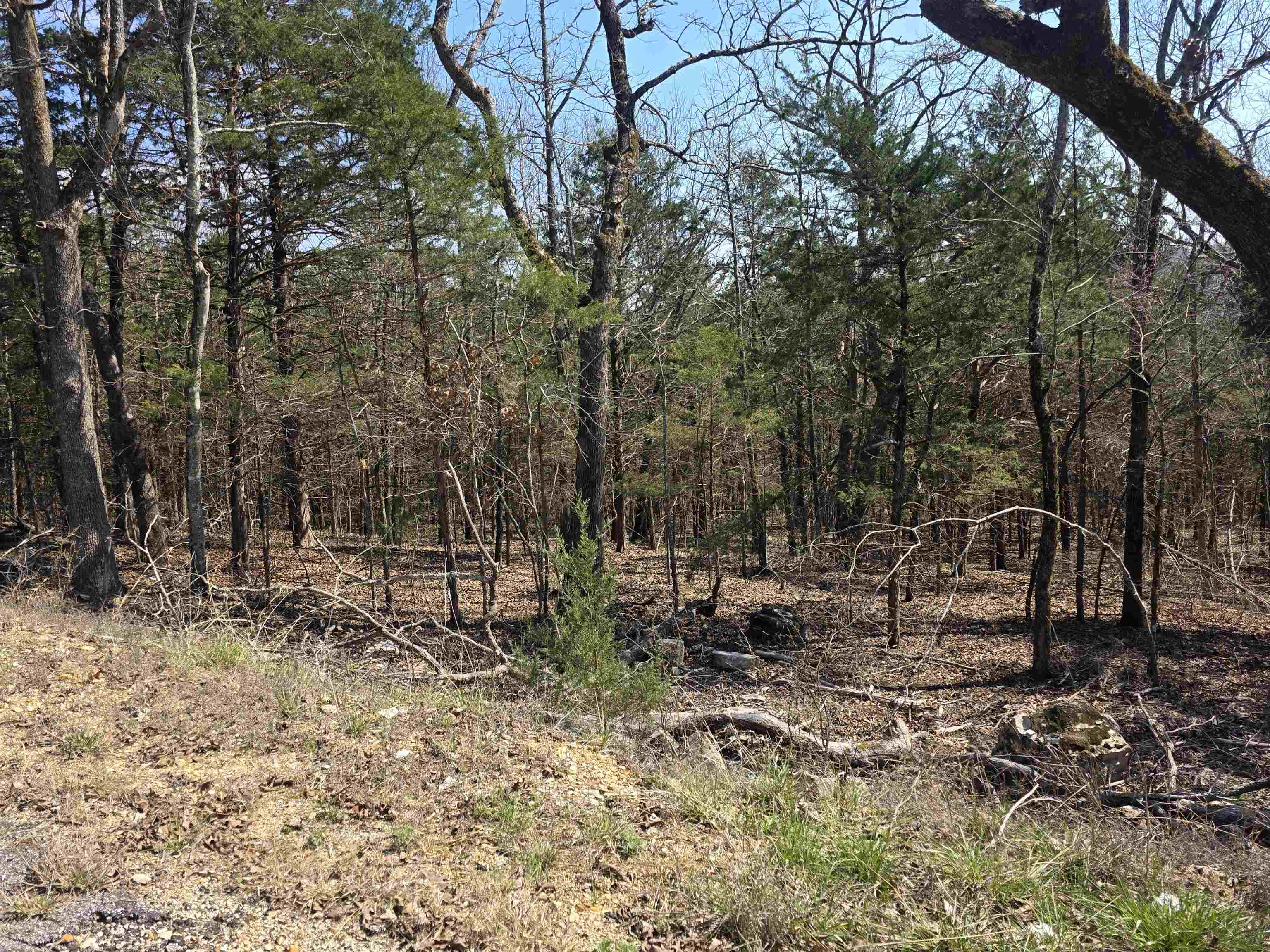 Photo 10 - Vacant Land for sale – L28 B3  Ohew   Cherokee Village, AR