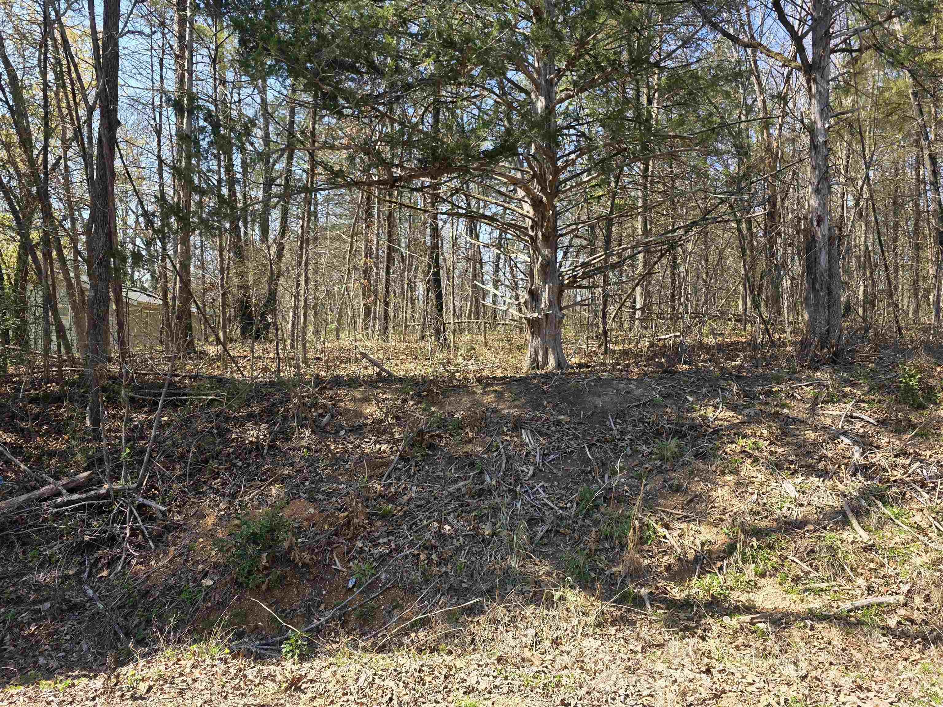 Vacant Land for sale – L5 B3  Kewe   Cherokee Village, AR