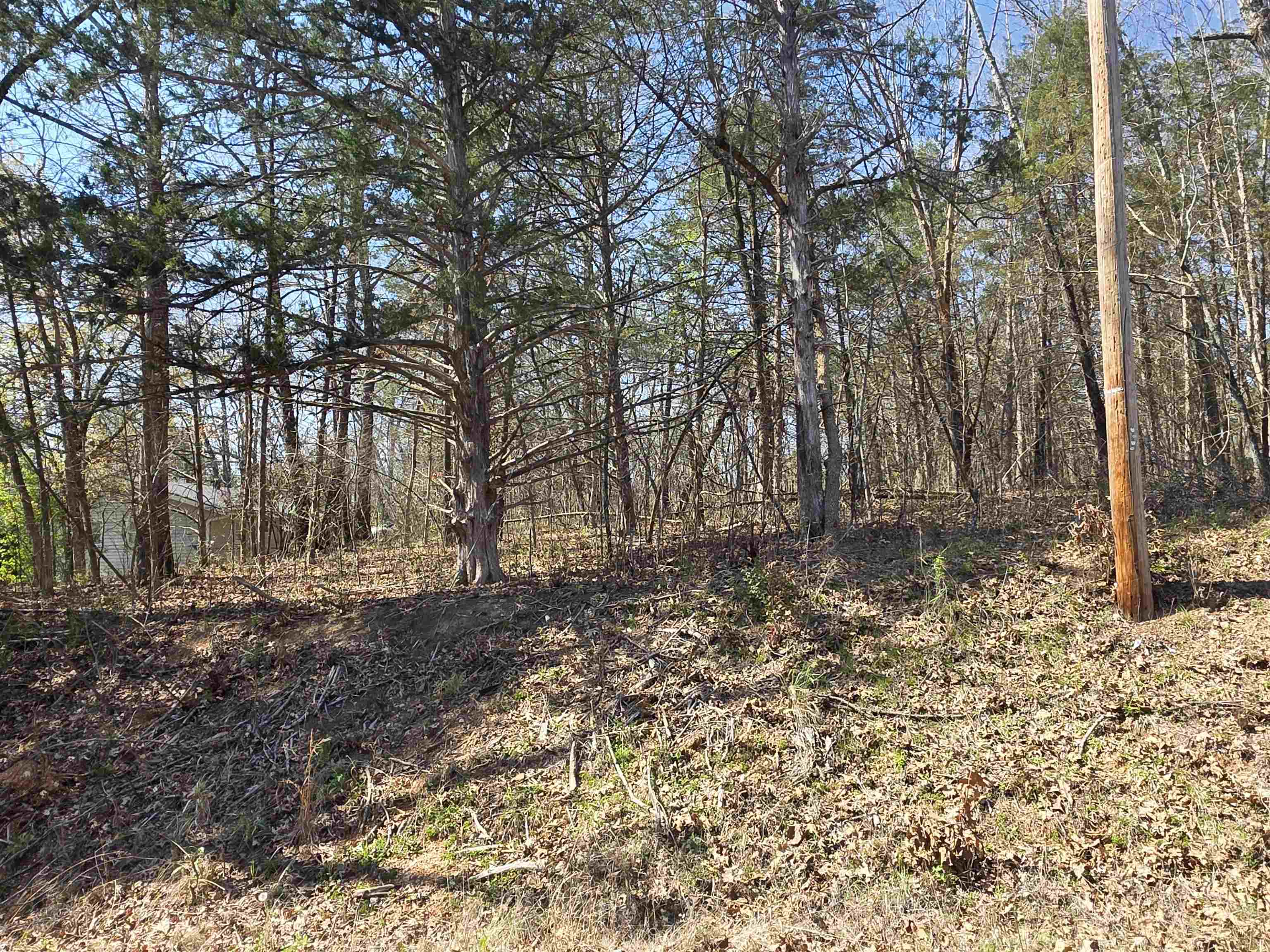 Photo 2 - Vacant Land for sale – L5 B3  Kewe   Cherokee Village, AR