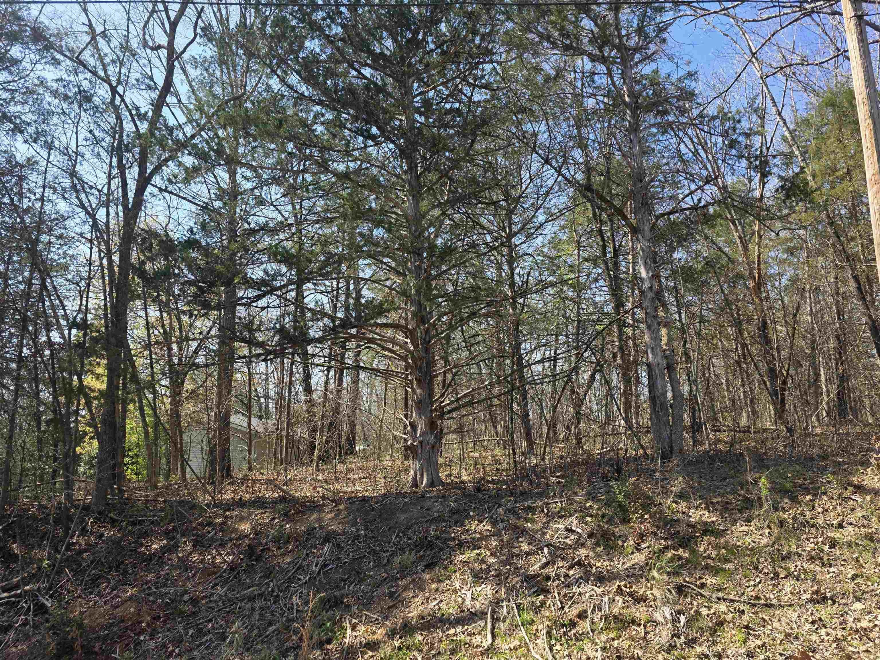 Photo 4 - Vacant Land for sale – L5 B3  Kewe   Cherokee Village, AR