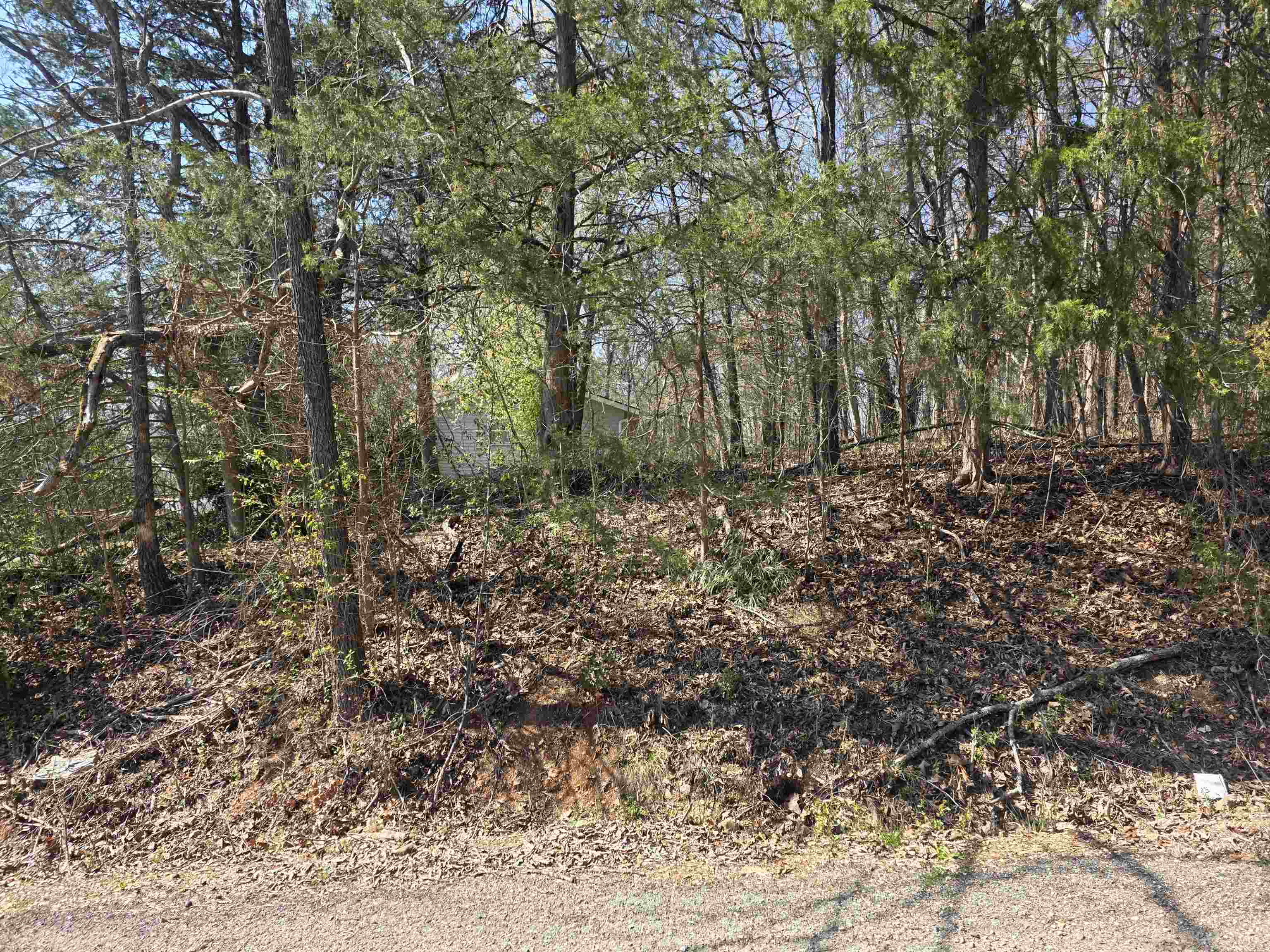 Photo 7 - Vacant Land for sale – L5 B3  Kewe   Cherokee Village, AR