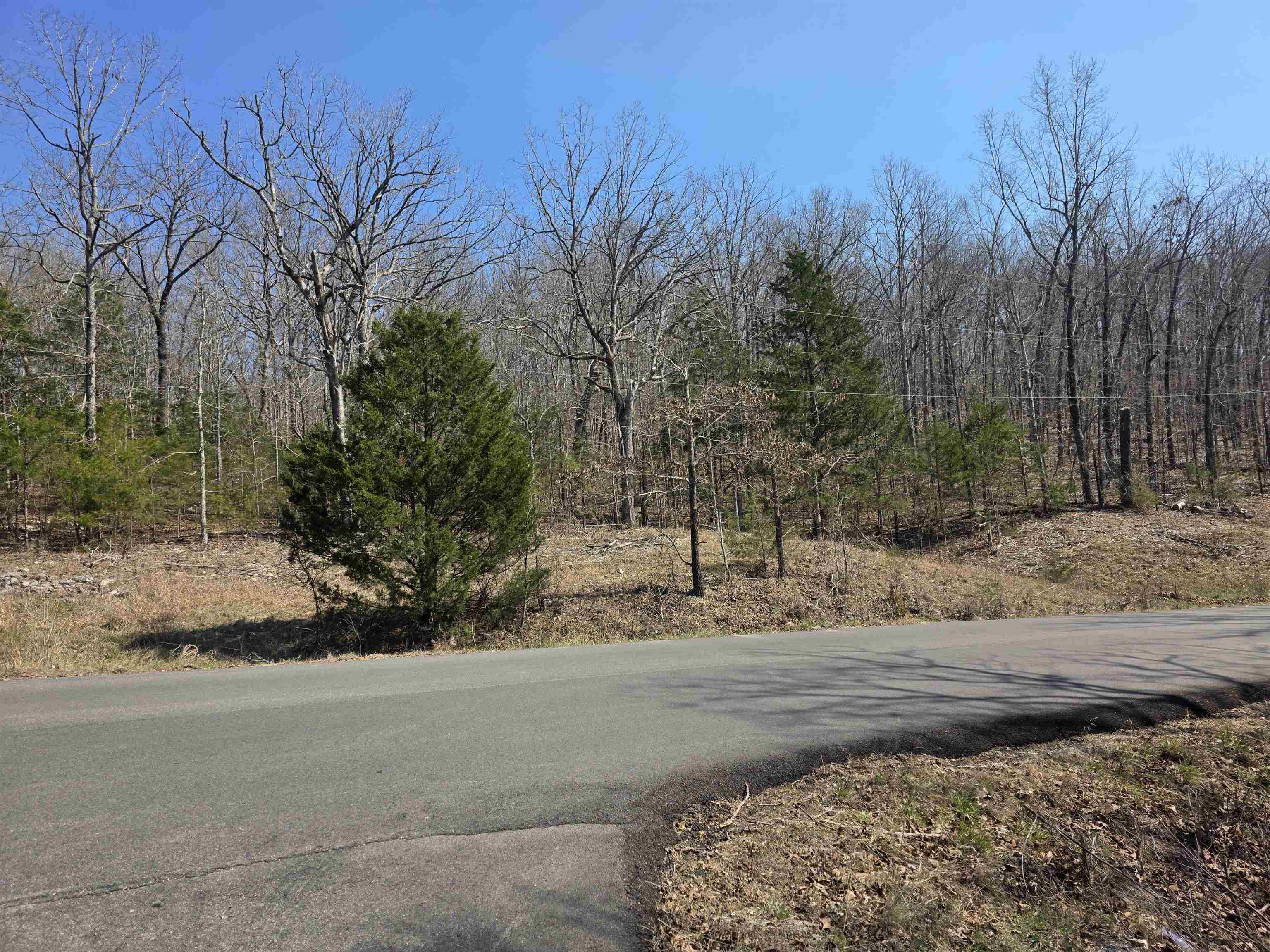 Photo 2 - Vacant Land for sale – L3 B5  Flathead   Cherokee Village, AR