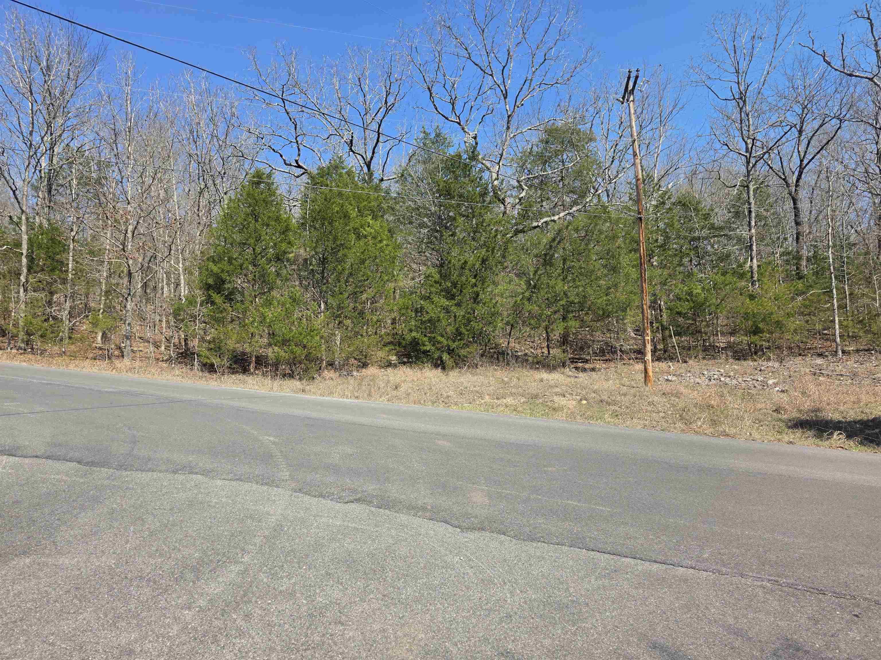 Photo 3 - Vacant Land for sale – L3 B5  Flathead   Cherokee Village, AR