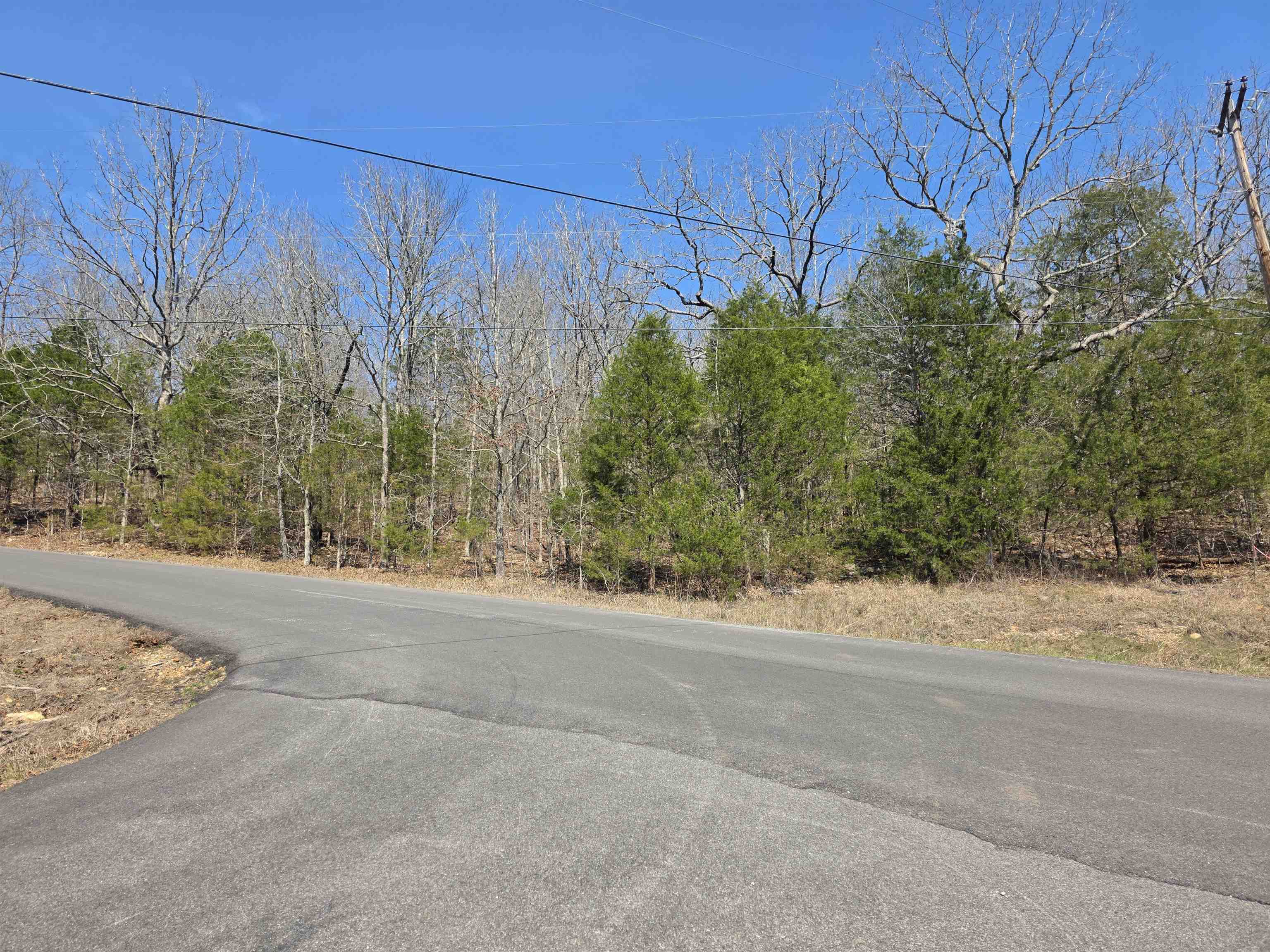 Photo 4 - Vacant Land for sale – L3 B5  Flathead   Cherokee Village, AR