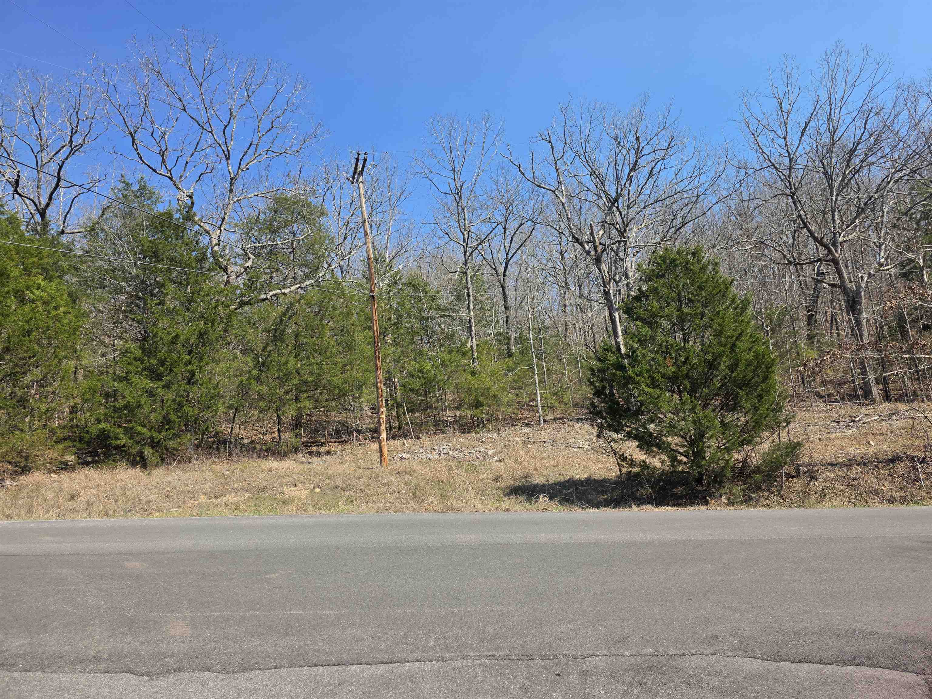 Photo 5 - Vacant Land for sale – L3 B5  Flathead   Cherokee Village, AR