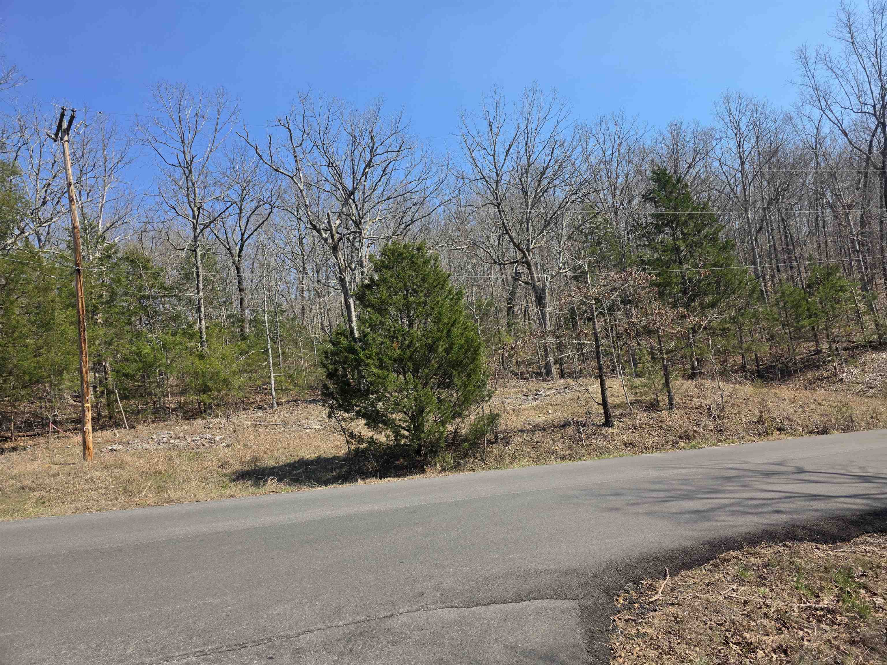 Photo 6 - Vacant Land for sale – L3 B5  Flathead   Cherokee Village, AR