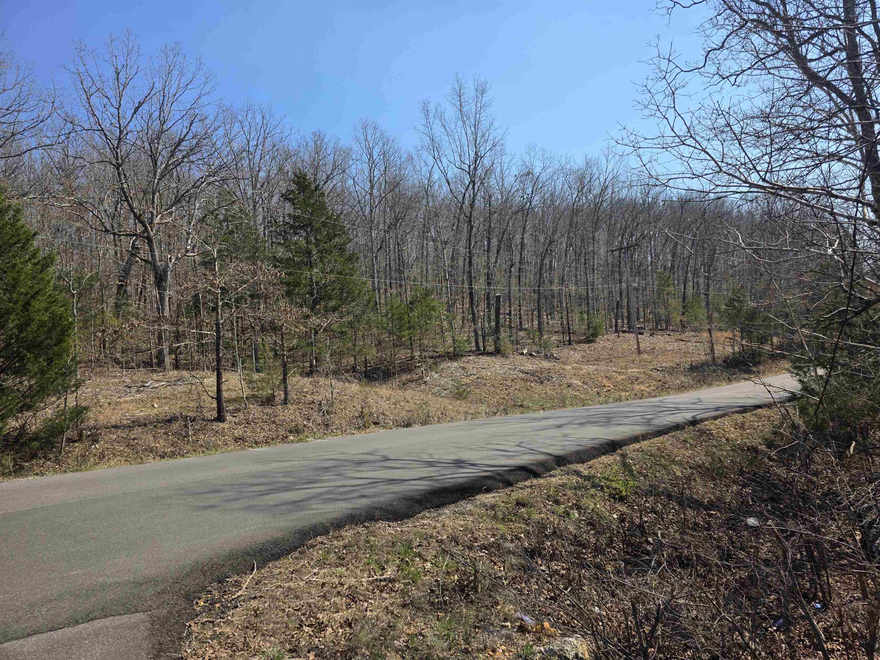 Photo 7 - Vacant Land for sale – L3 B5  Flathead   Cherokee Village, AR