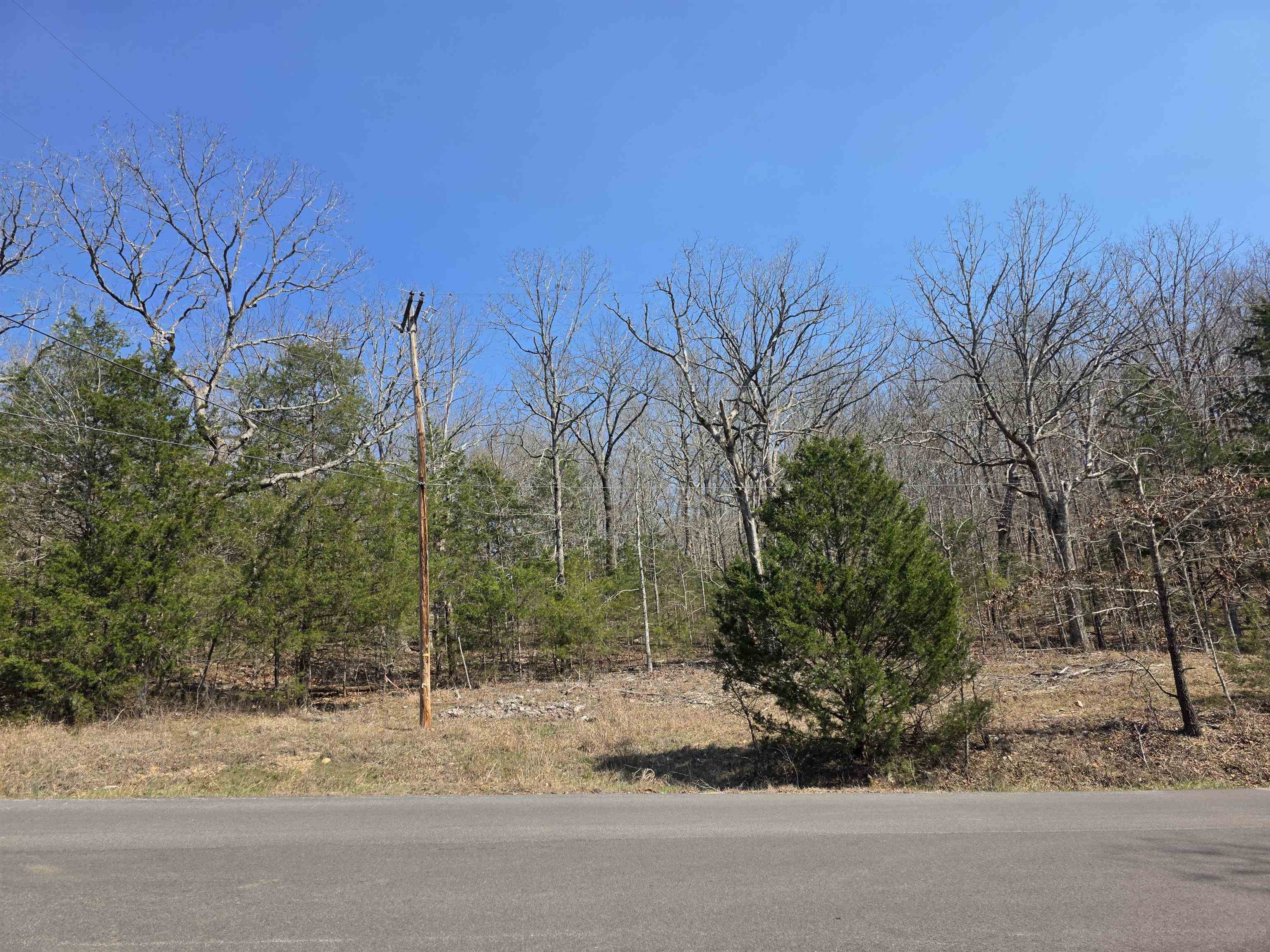 Photo 8 - Vacant Land for sale – L3 B5  Flathead   Cherokee Village, AR