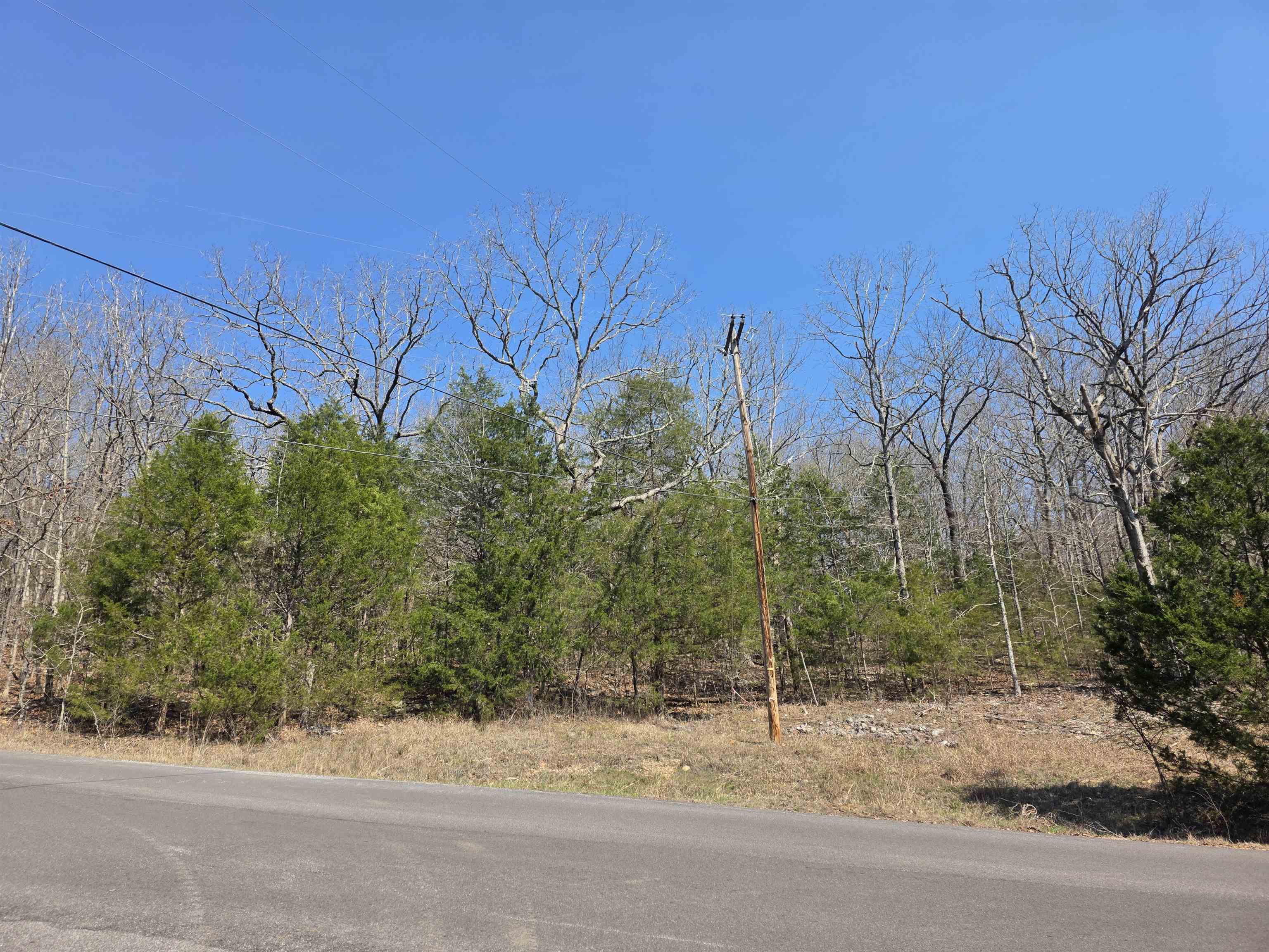 Photo 9 - Vacant Land for sale – L3 B5  Flathead   Cherokee Village, AR