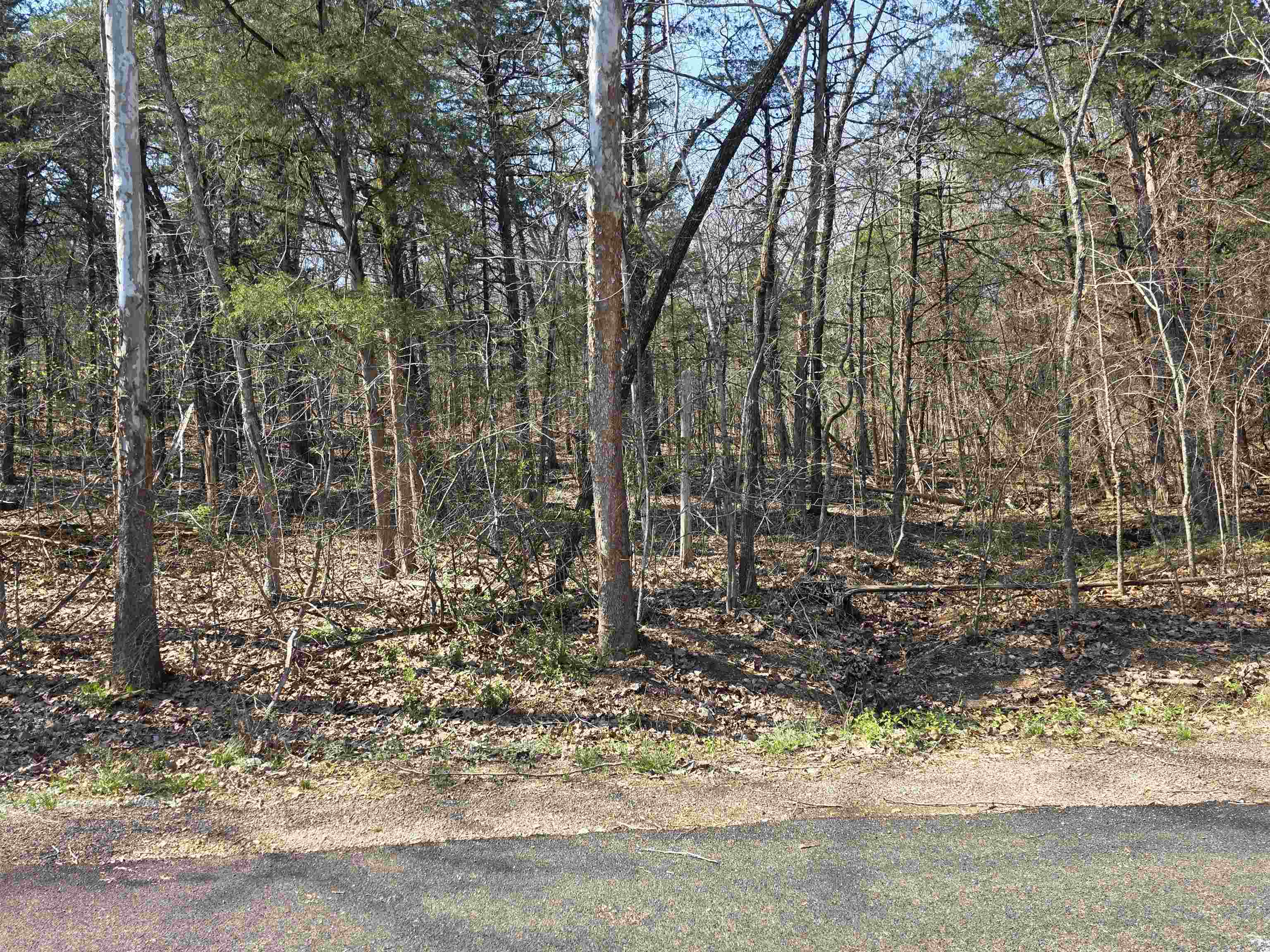 Vacant Land for sale – L35 B4  Nokonda   Cherokee Village, AR