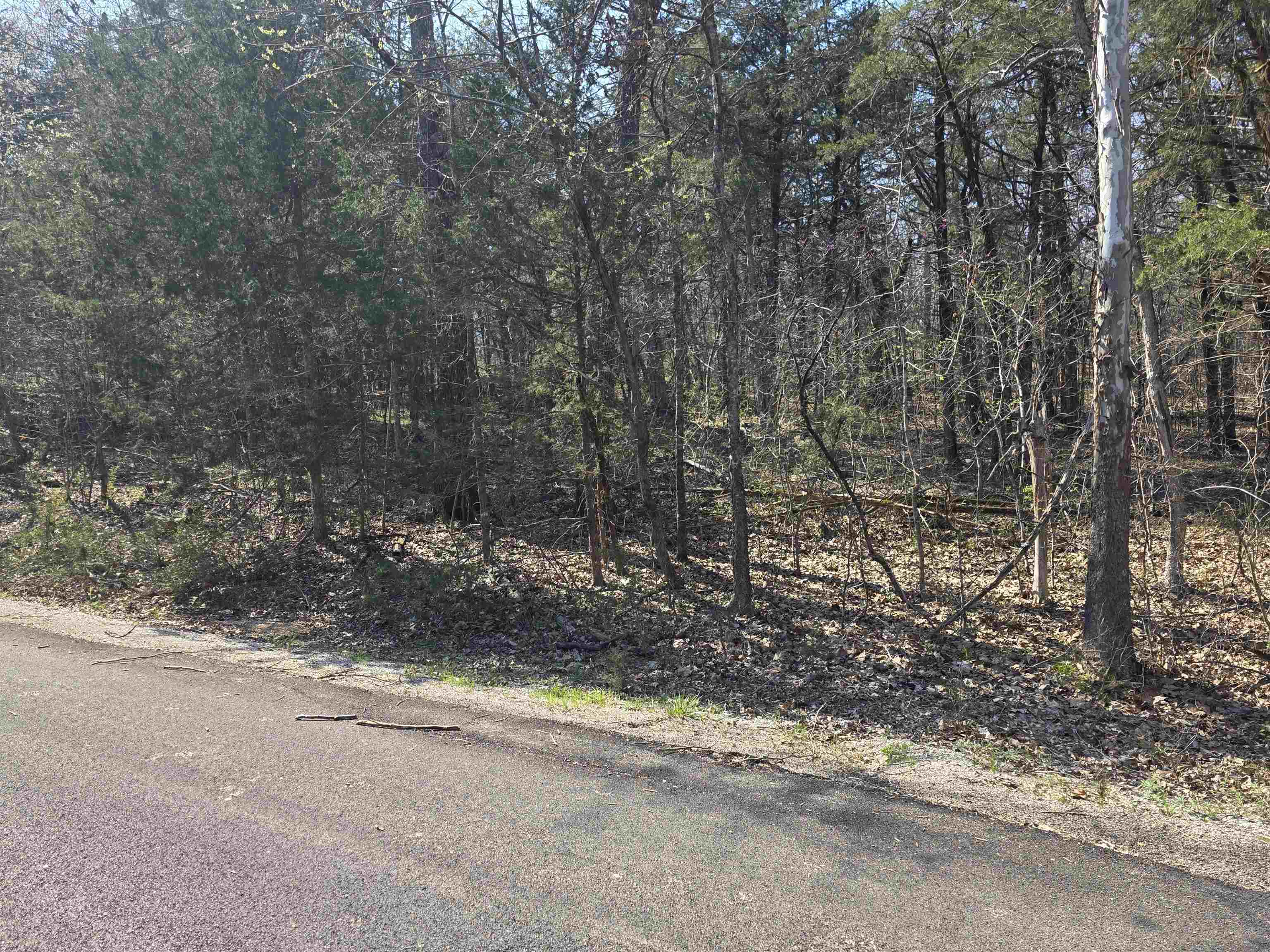 Photo 2 - Vacant Land for sale – L35 B4  Nokonda   Cherokee Village, AR