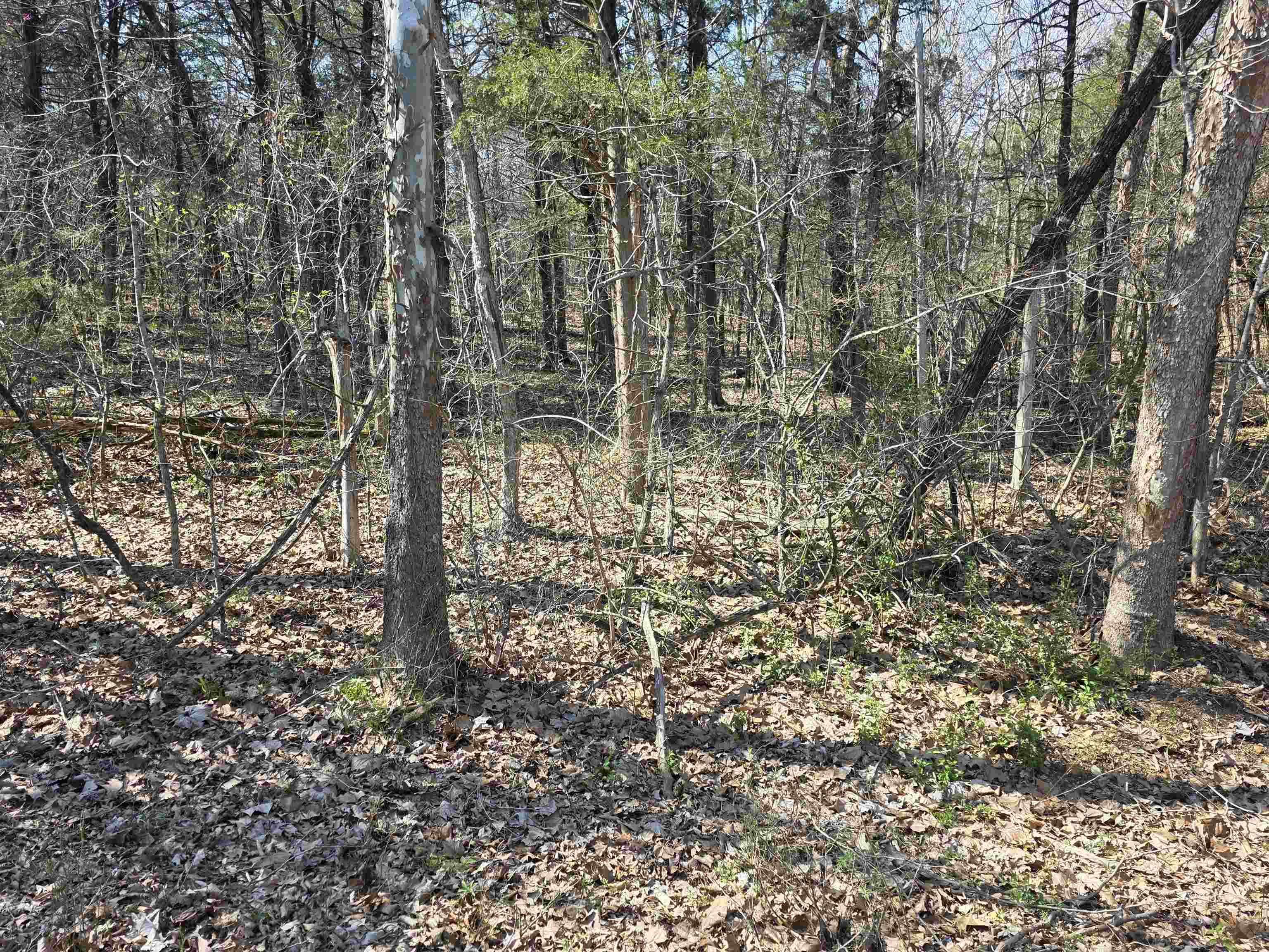 Photo 11 - Vacant Land for sale – L35 B4  Nokonda   Cherokee Village, AR