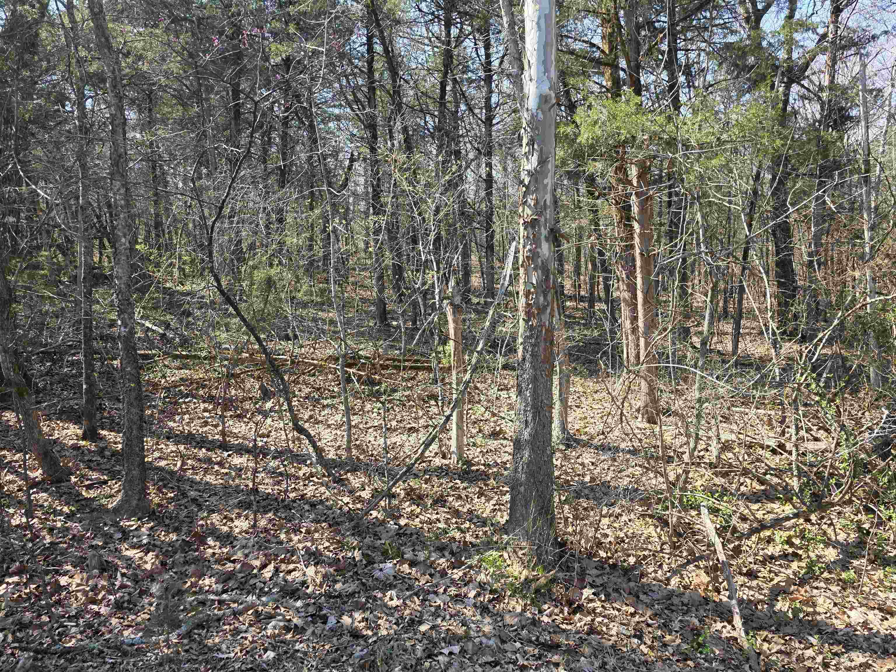 Photo 12 - Vacant Land for sale – L35 B4  Nokonda   Cherokee Village, AR