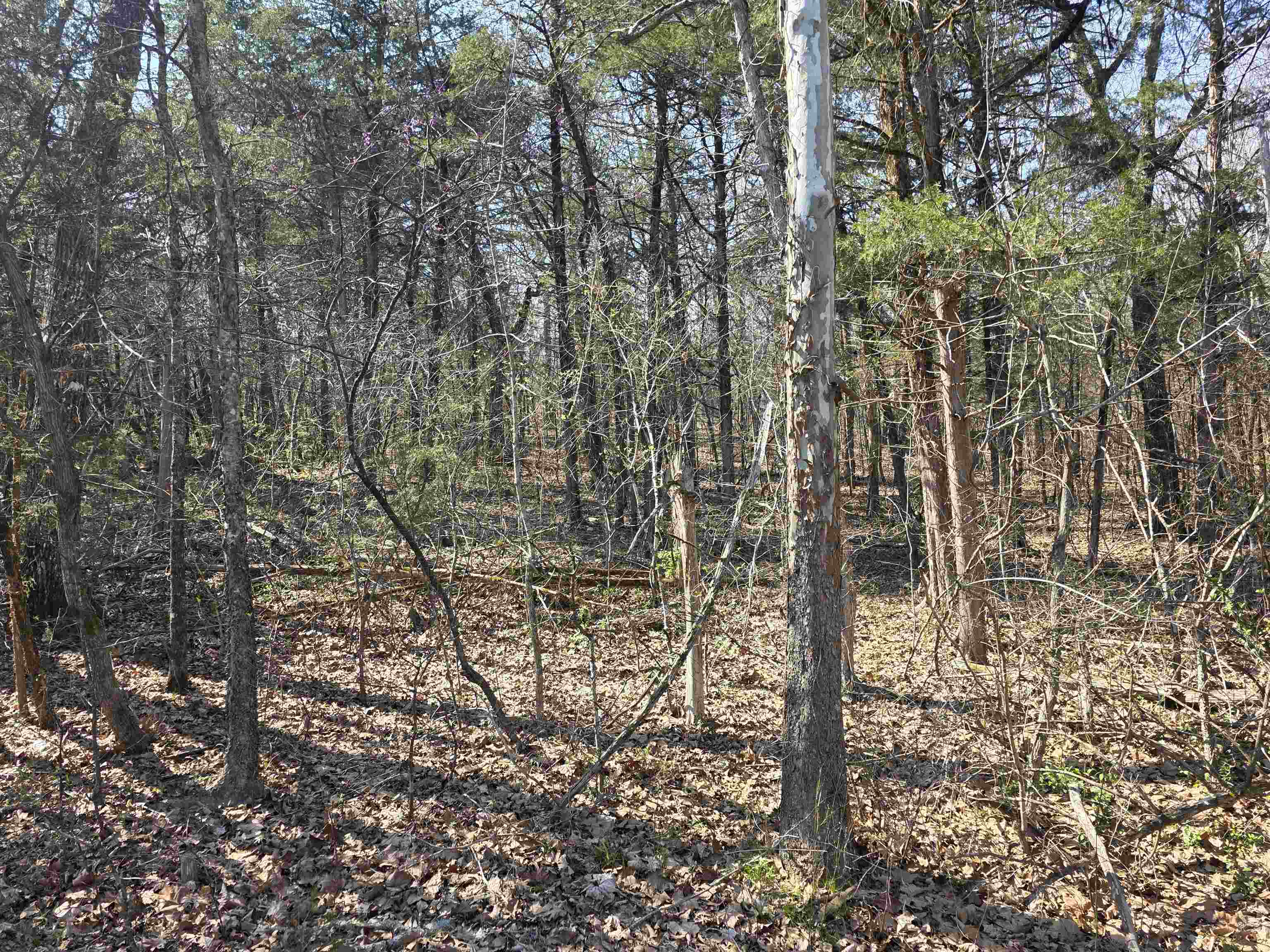 Photo 13 - Vacant Land for sale – L35 B4  Nokonda   Cherokee Village, AR