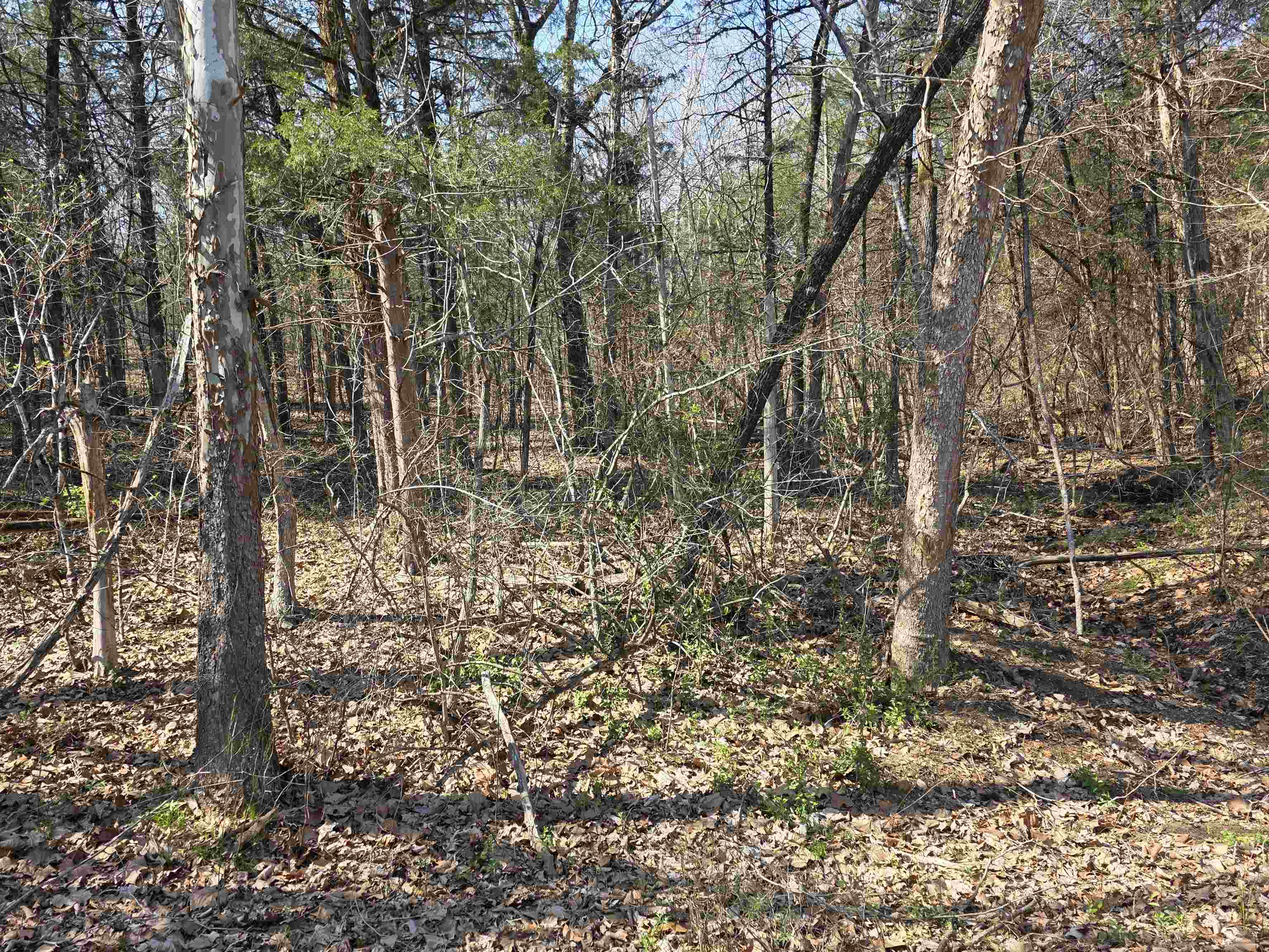 Photo 14 - Vacant Land for sale – L35 B4  Nokonda   Cherokee Village, AR