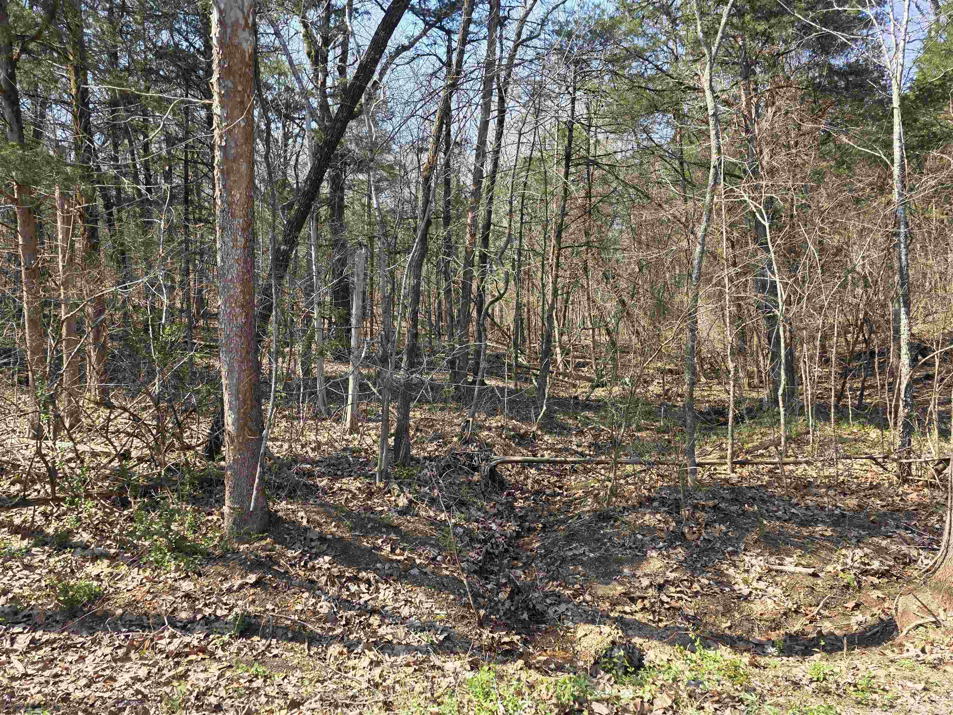 Photo 15 - Vacant Land for sale – L35 B4  Nokonda   Cherokee Village, AR