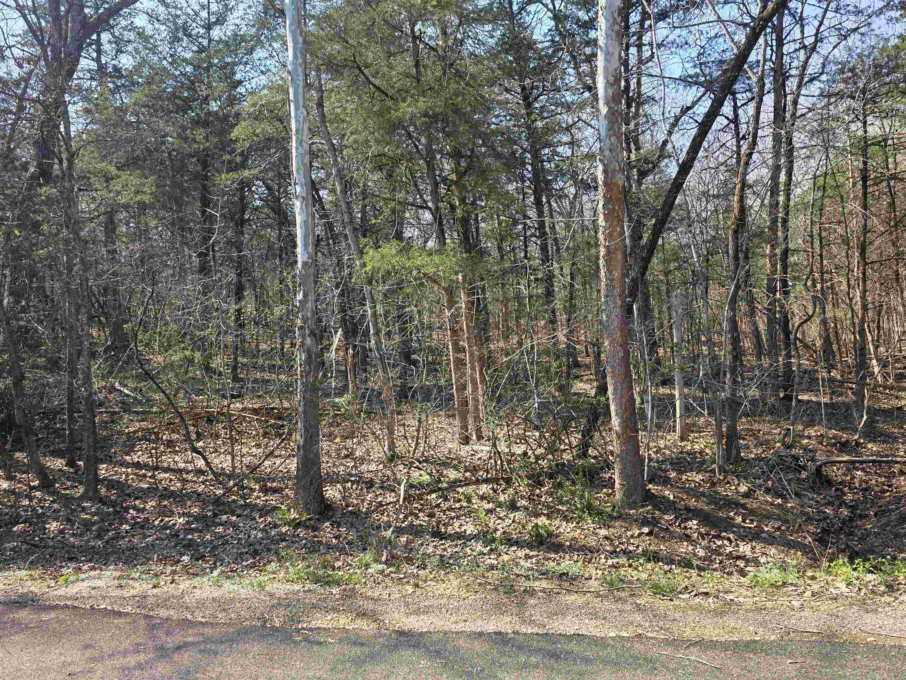 Photo 16 - Vacant Land for sale – L35 B4  Nokonda   Cherokee Village, AR