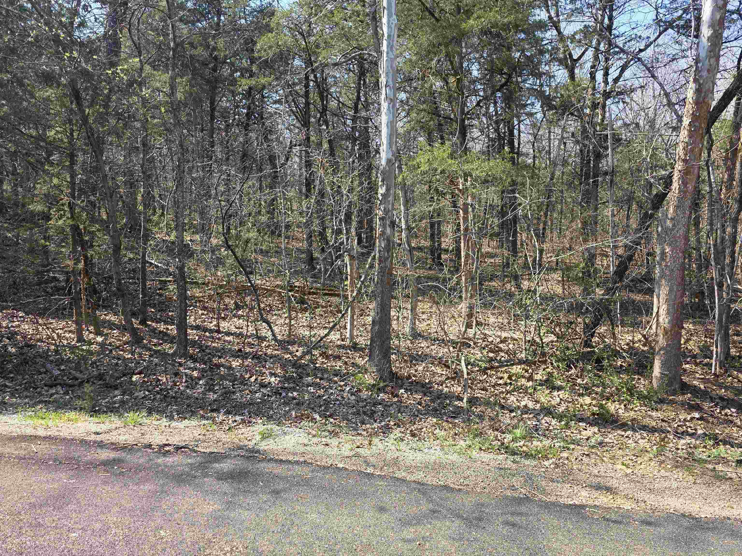 Photo 3 - Vacant Land for sale – L35 B4  Nokonda   Cherokee Village, AR