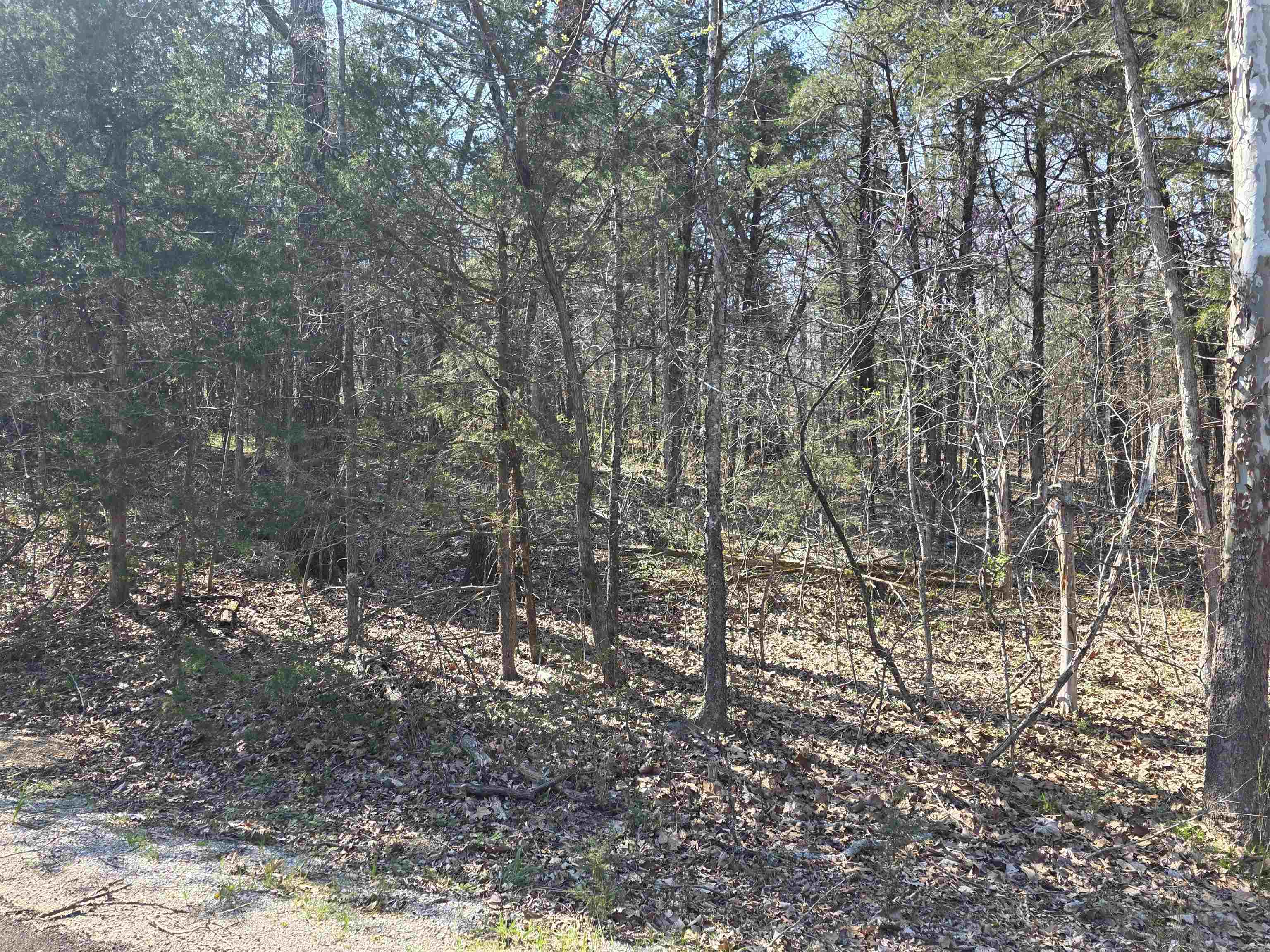 Photo 4 - Vacant Land for sale – L35 B4  Nokonda   Cherokee Village, AR