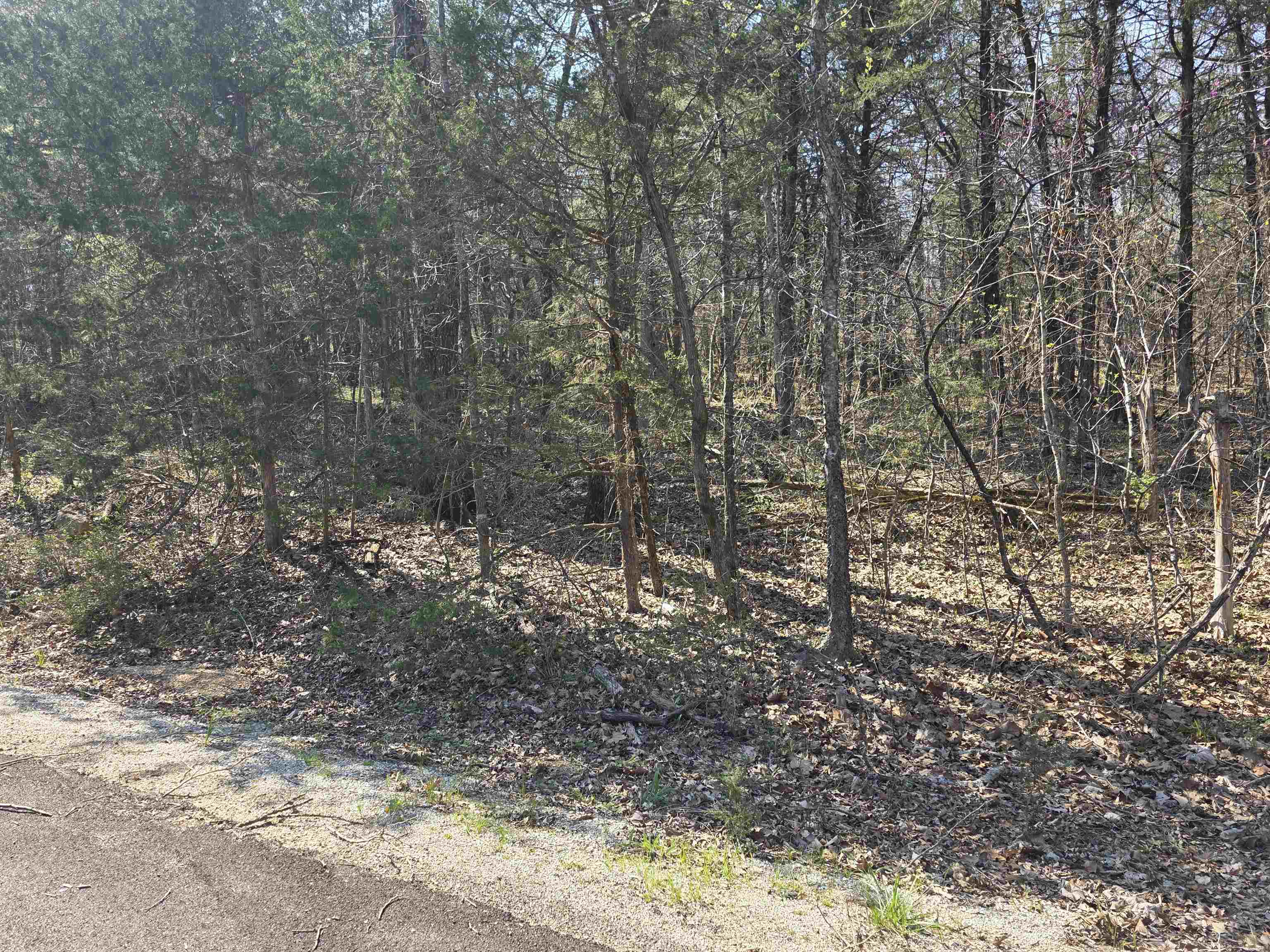 Photo 5 - Vacant Land for sale – L35 B4  Nokonda   Cherokee Village, AR