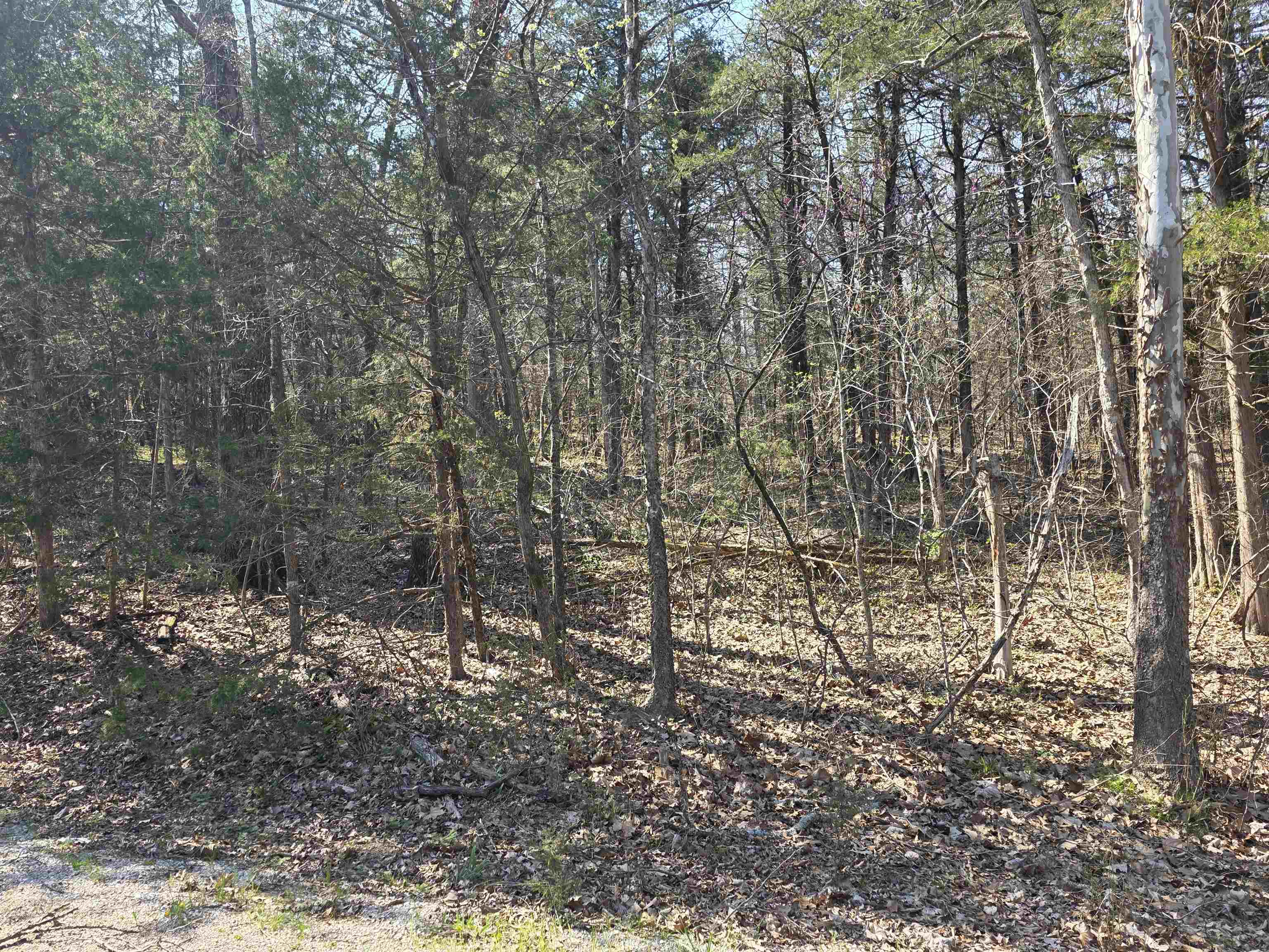 Photo 6 - Vacant Land for sale – L35 B4  Nokonda   Cherokee Village, AR