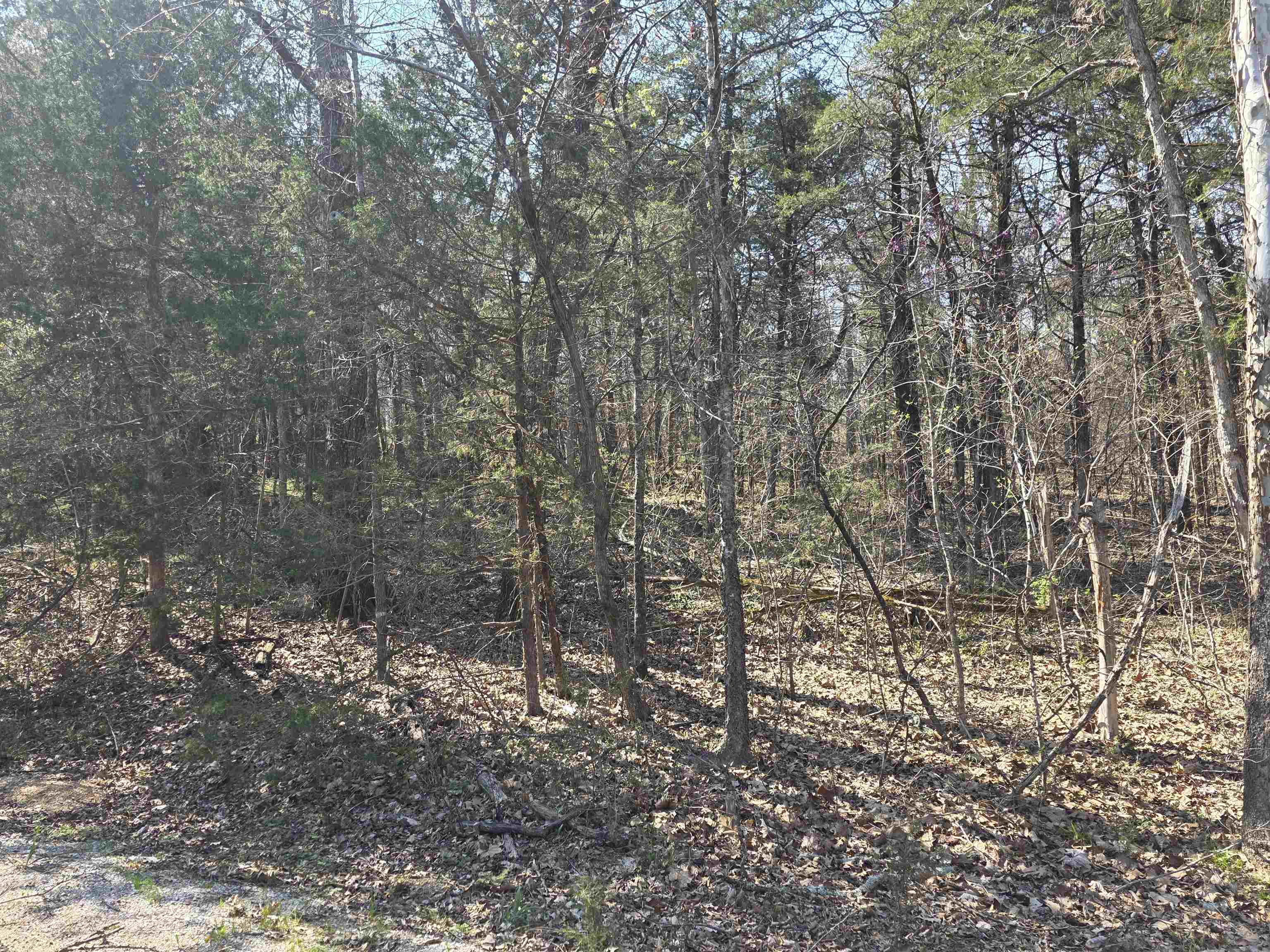 Photo 7 - Vacant Land for sale – L35 B4  Nokonda   Cherokee Village, AR