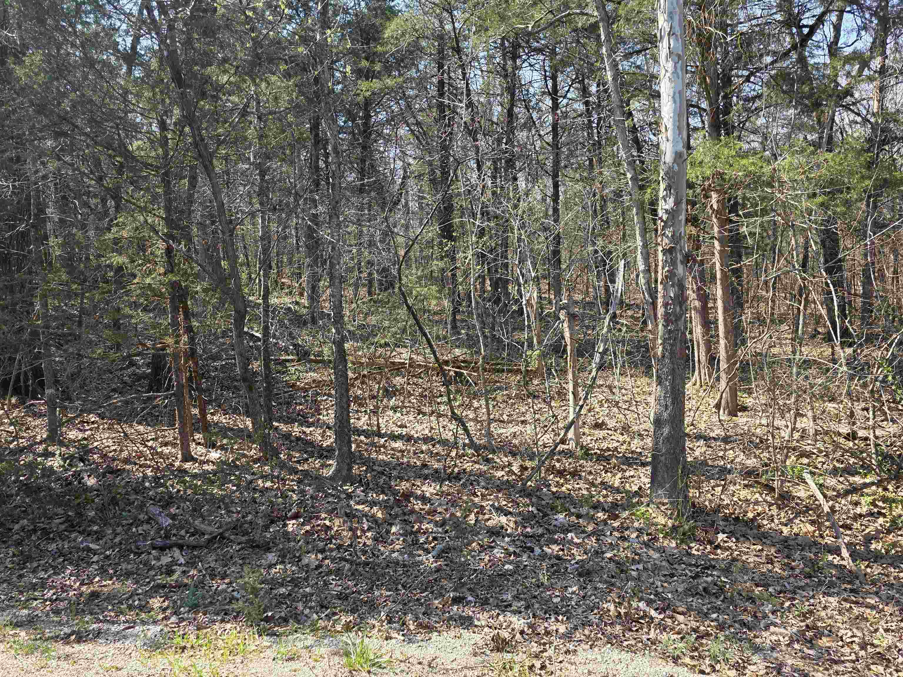 Photo 8 - Vacant Land for sale – L35 B4  Nokonda   Cherokee Village, AR