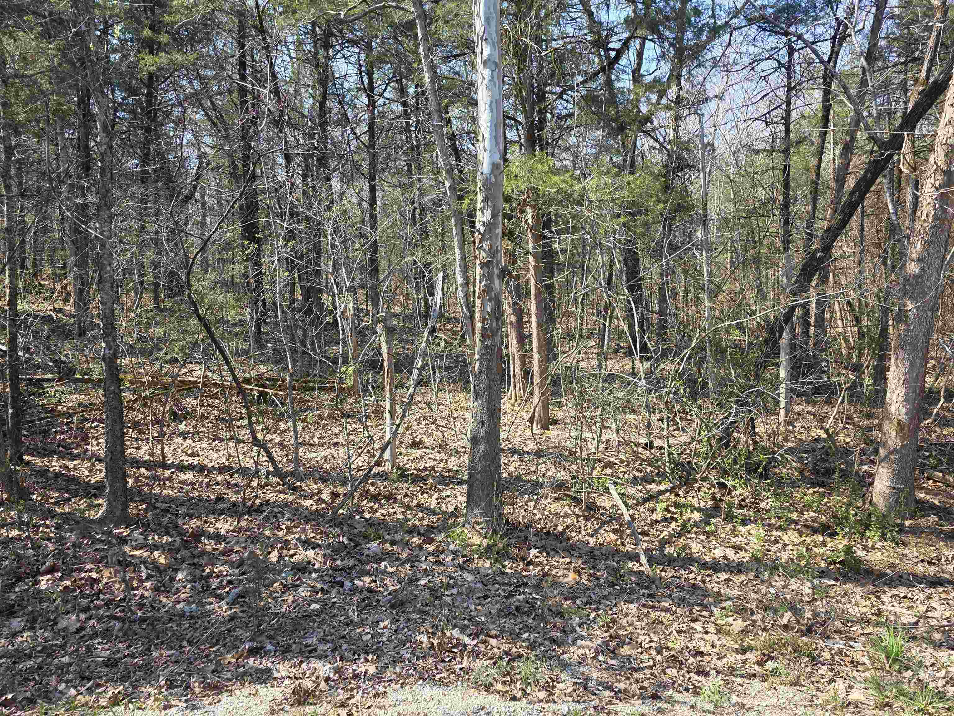 Photo 10 - Vacant Land for sale – L35 B4  Nokonda   Cherokee Village, AR