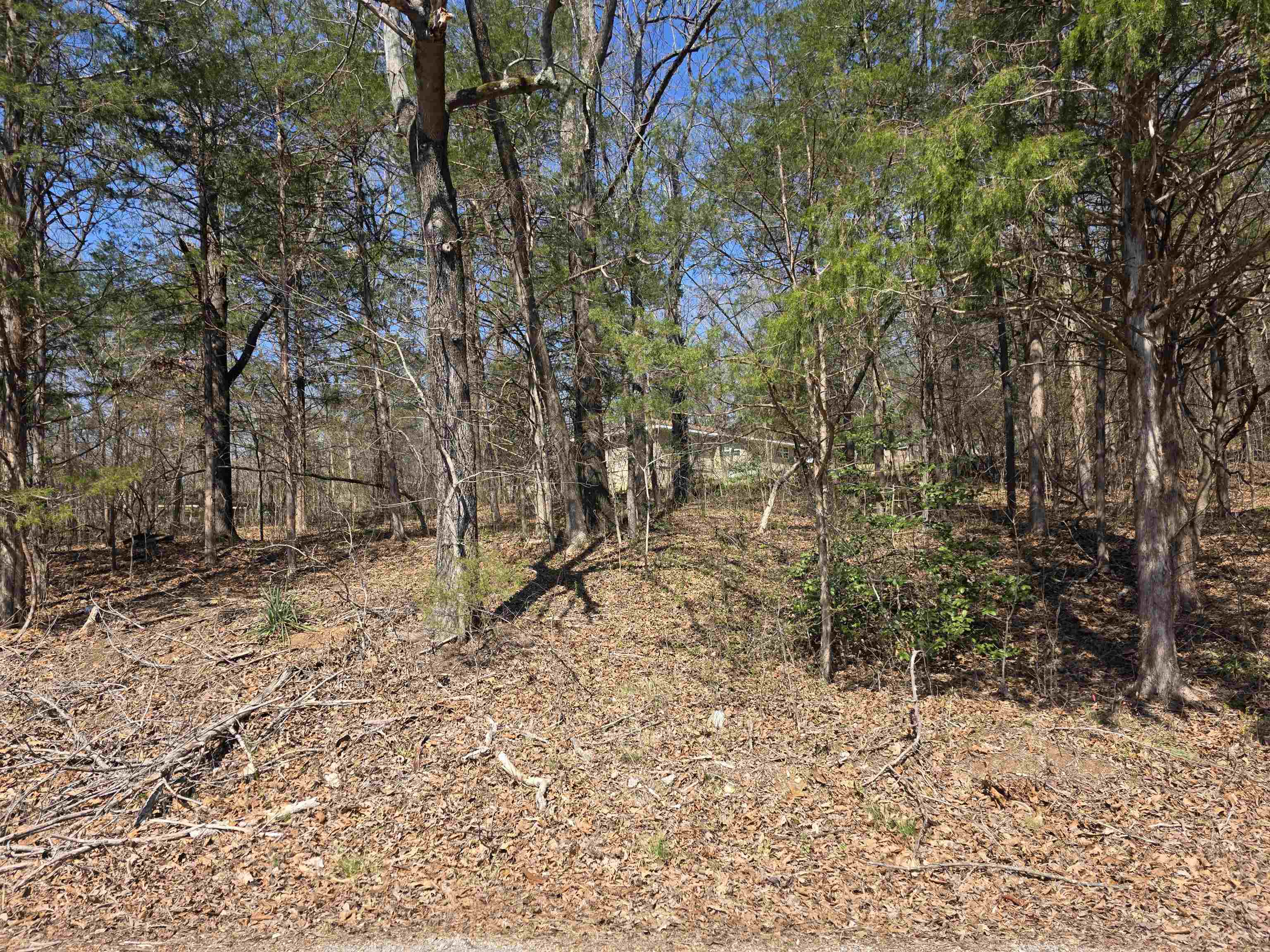 Vacant Land for sale – L2 B3  Nokonda   Cherokee Village, AR