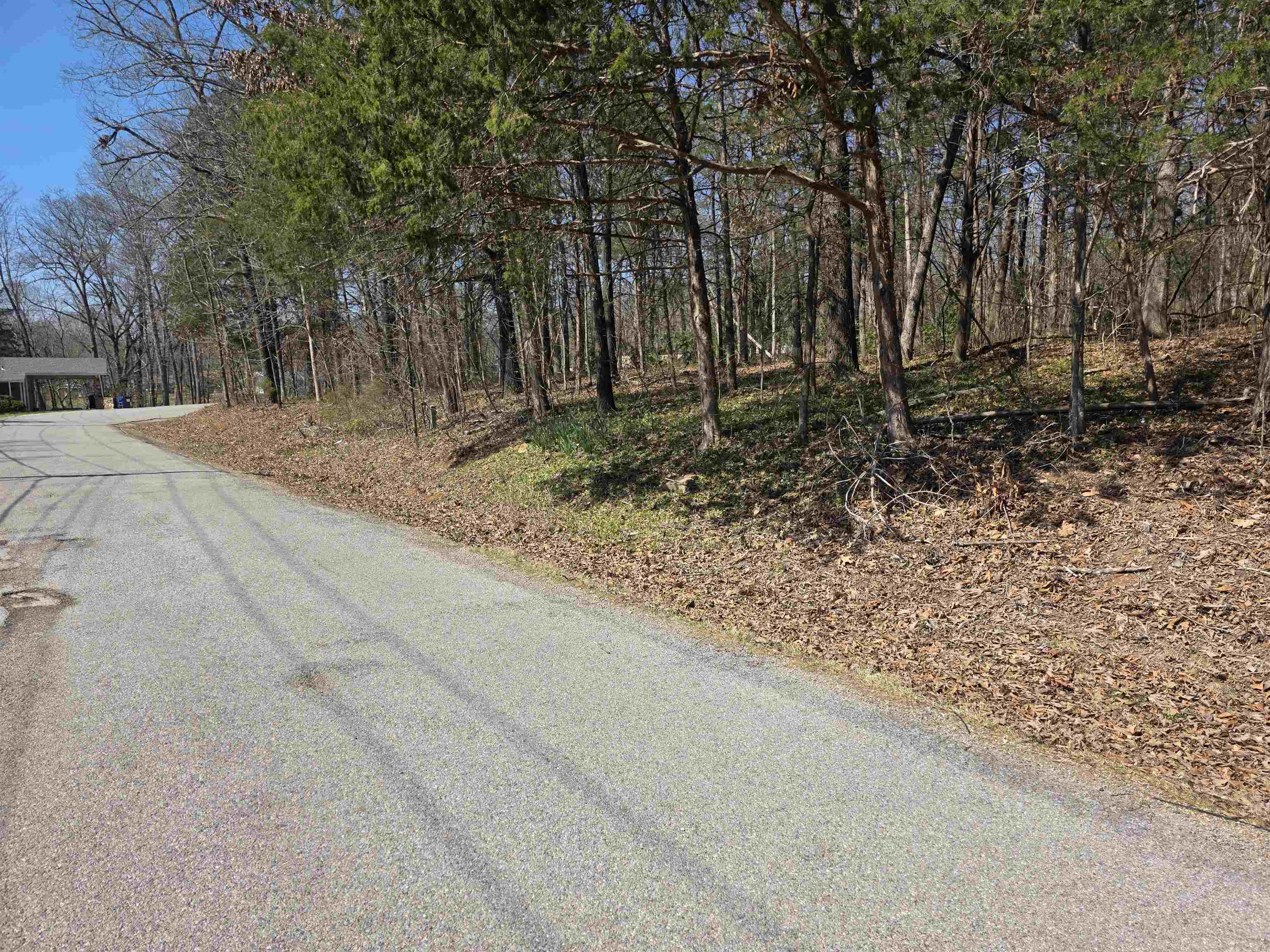 Photo 2 - Vacant Land for sale – L2 B3  Nokonda   Cherokee Village, AR