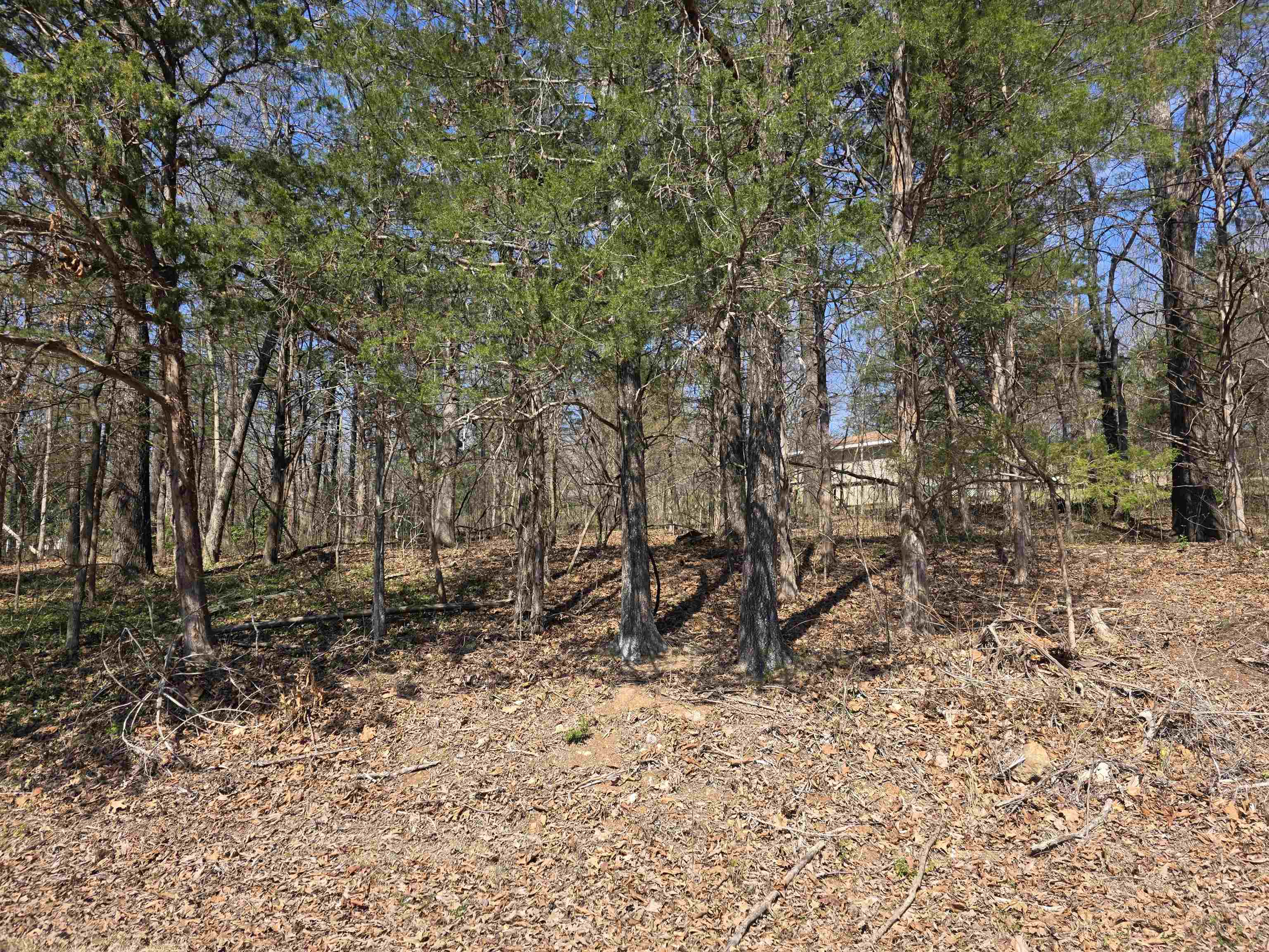 Photo 3 - Vacant Land for sale – L2 B3  Nokonda   Cherokee Village, AR