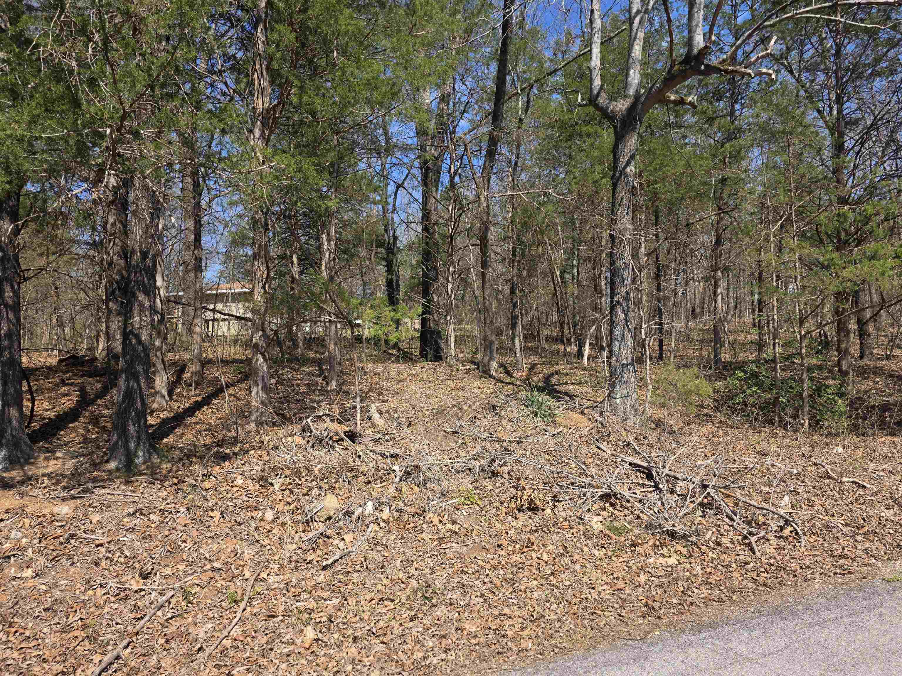 Photo 4 - Vacant Land for sale – L2 B3  Nokonda   Cherokee Village, AR