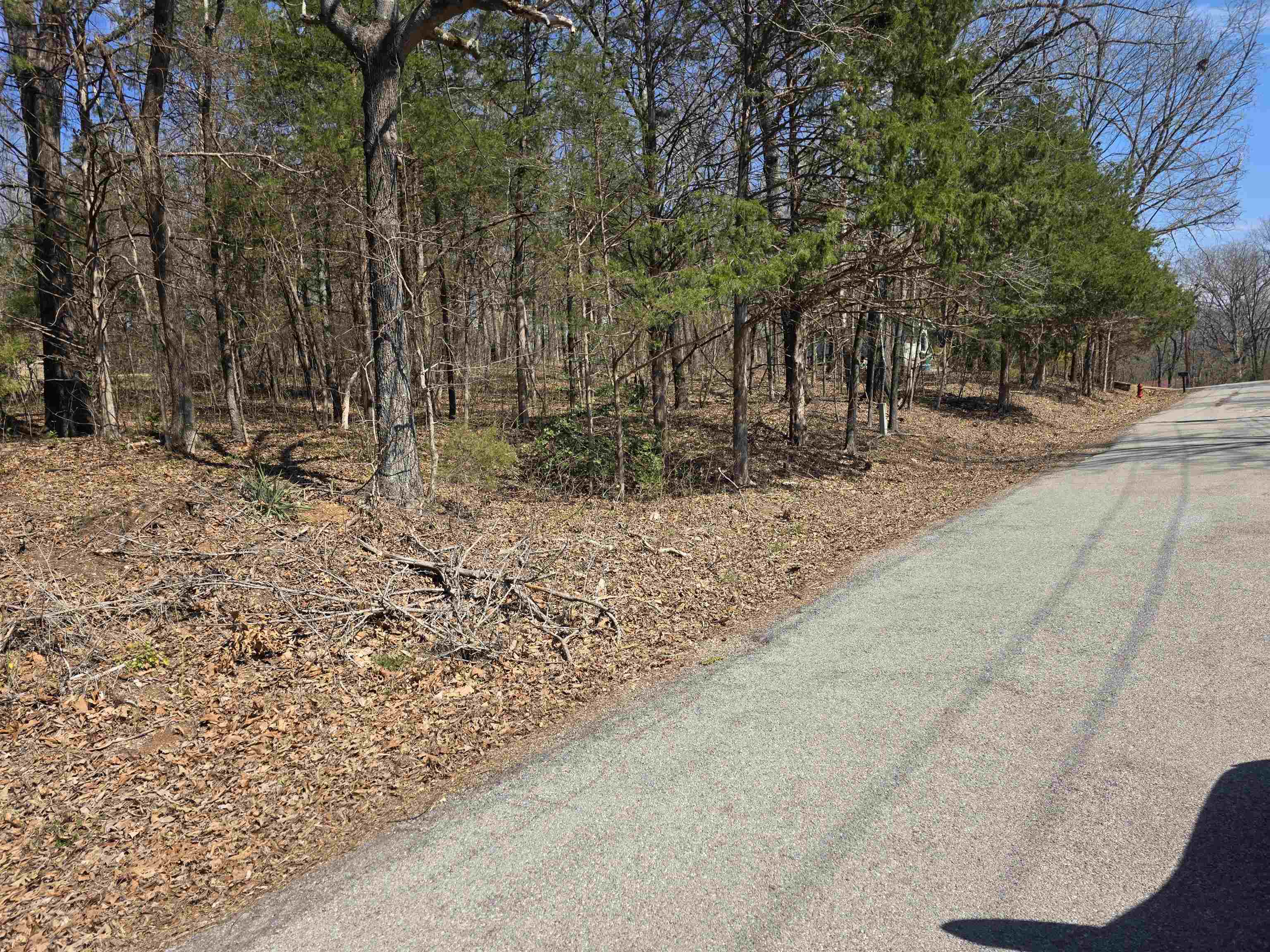 Photo 5 - Vacant Land for sale – L2 B3  Nokonda   Cherokee Village, AR