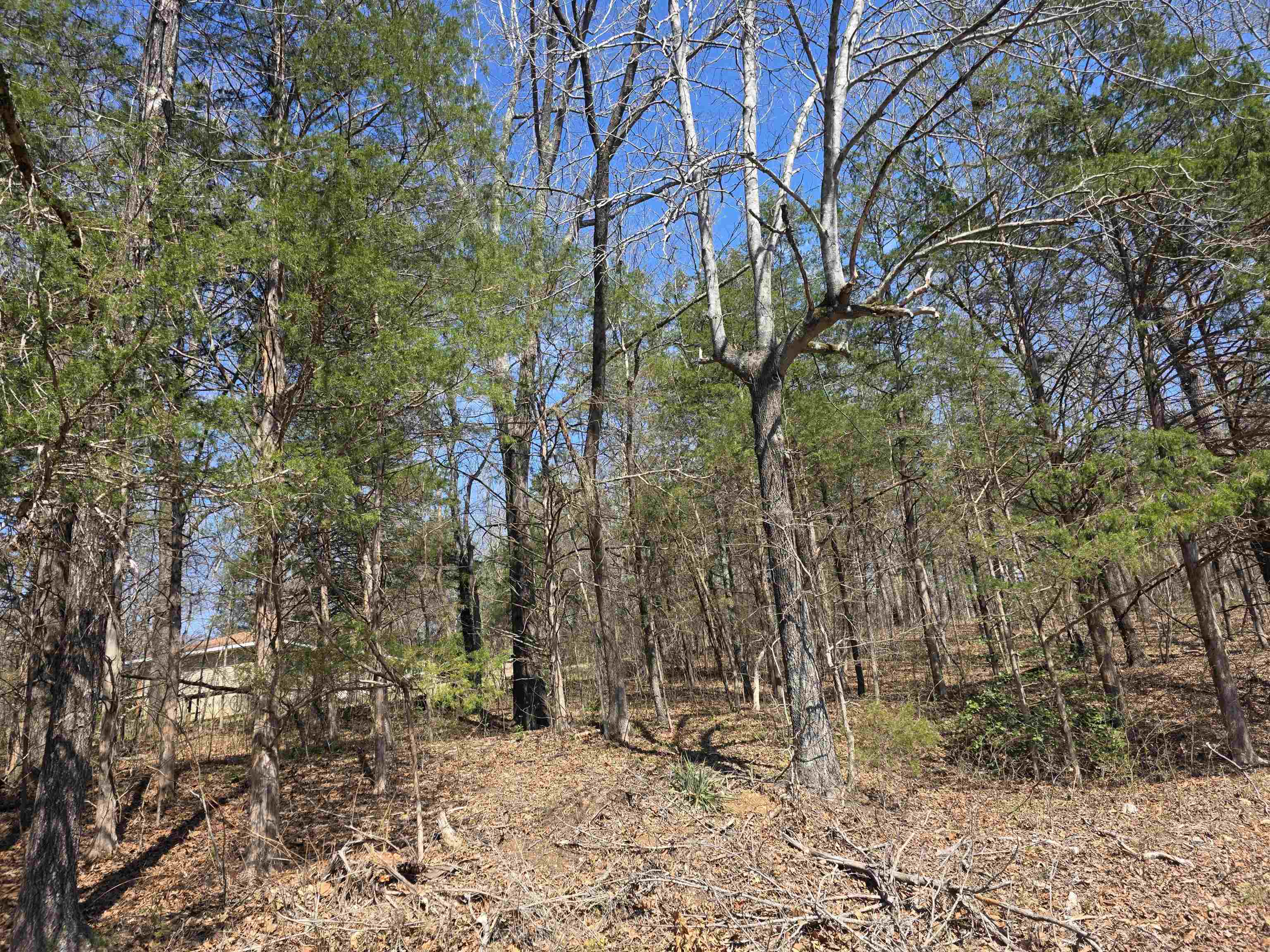 Photo 6 - Vacant Land for sale – L2 B3  Nokonda   Cherokee Village, AR