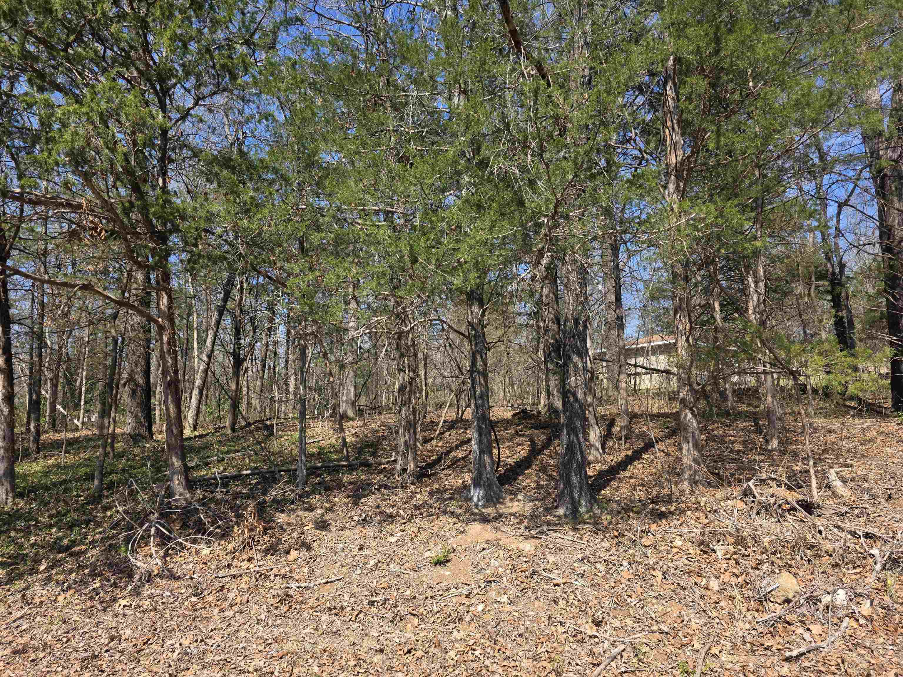 Photo 7 - Vacant Land for sale – L2 B3  Nokonda   Cherokee Village, AR