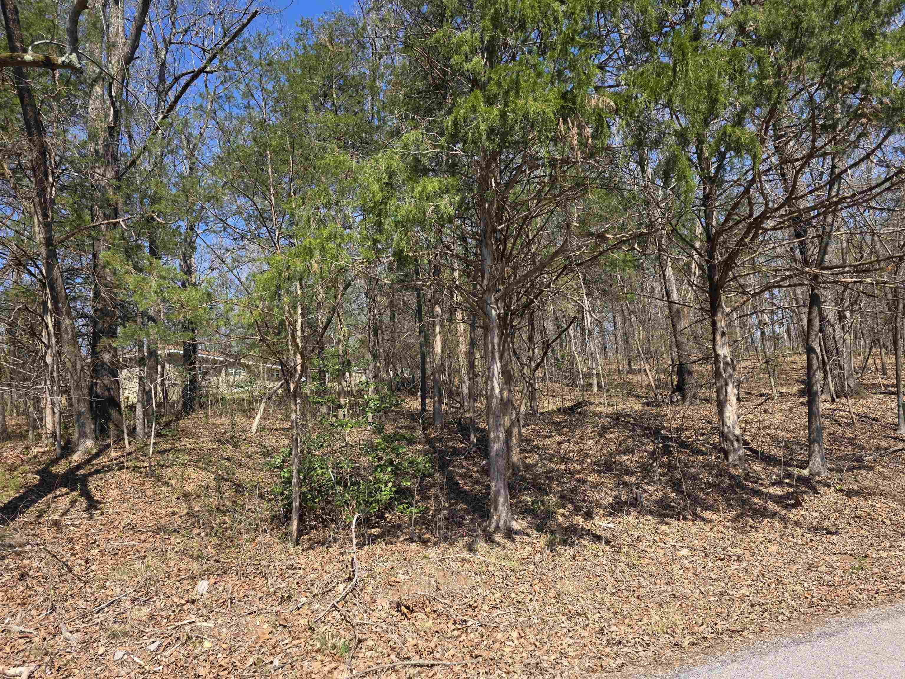 Photo 8 - Vacant Land for sale – L2 B3  Nokonda   Cherokee Village, AR