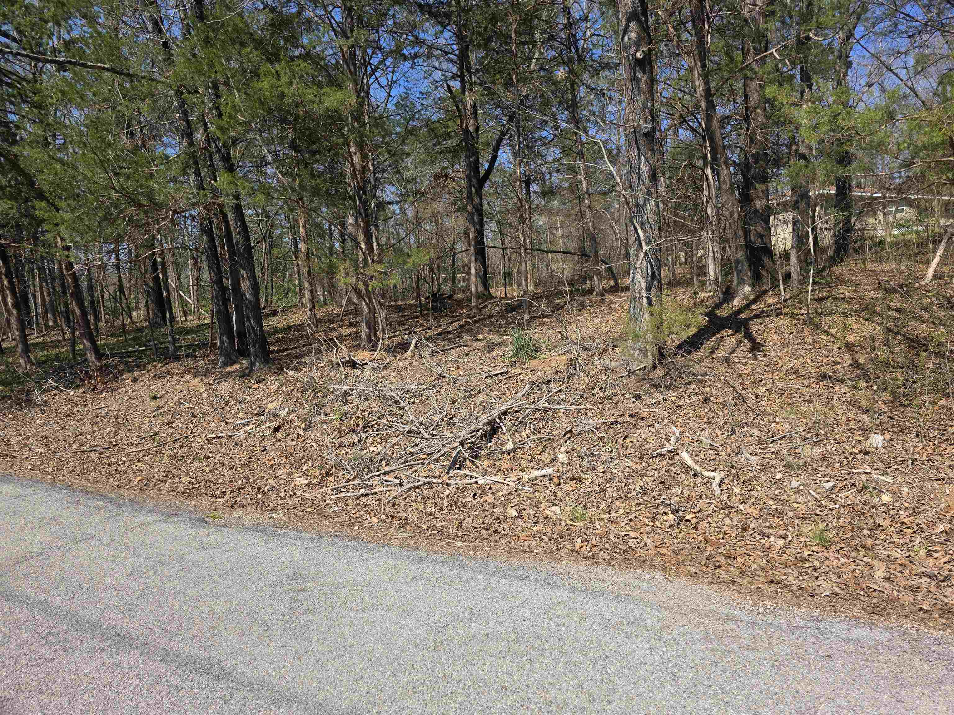 Photo 9 - Vacant Land for sale – L2 B3  Nokonda   Cherokee Village, AR