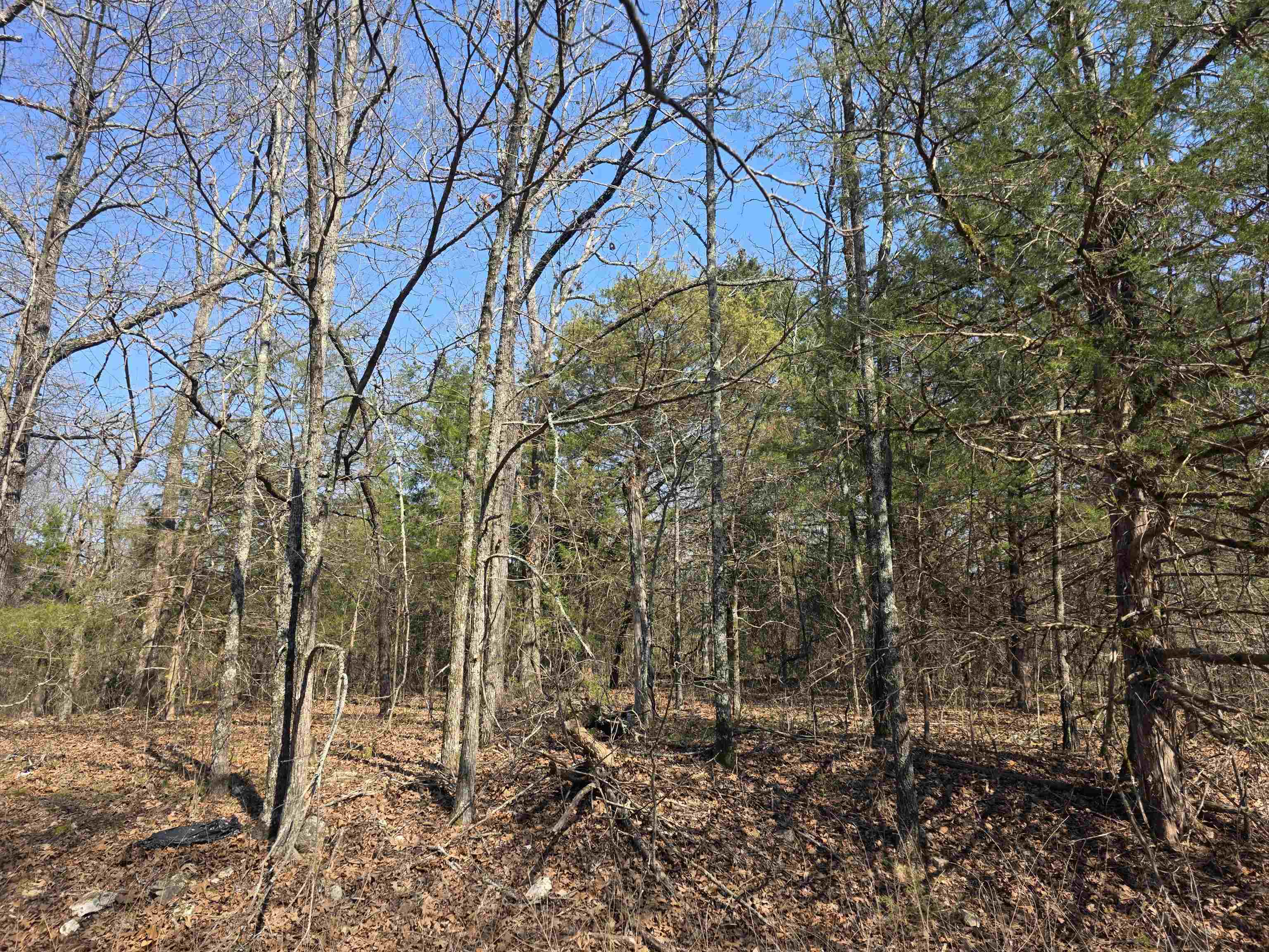 Vacant Land for sale – L3 B2  Inca   Cherokee Village, AR