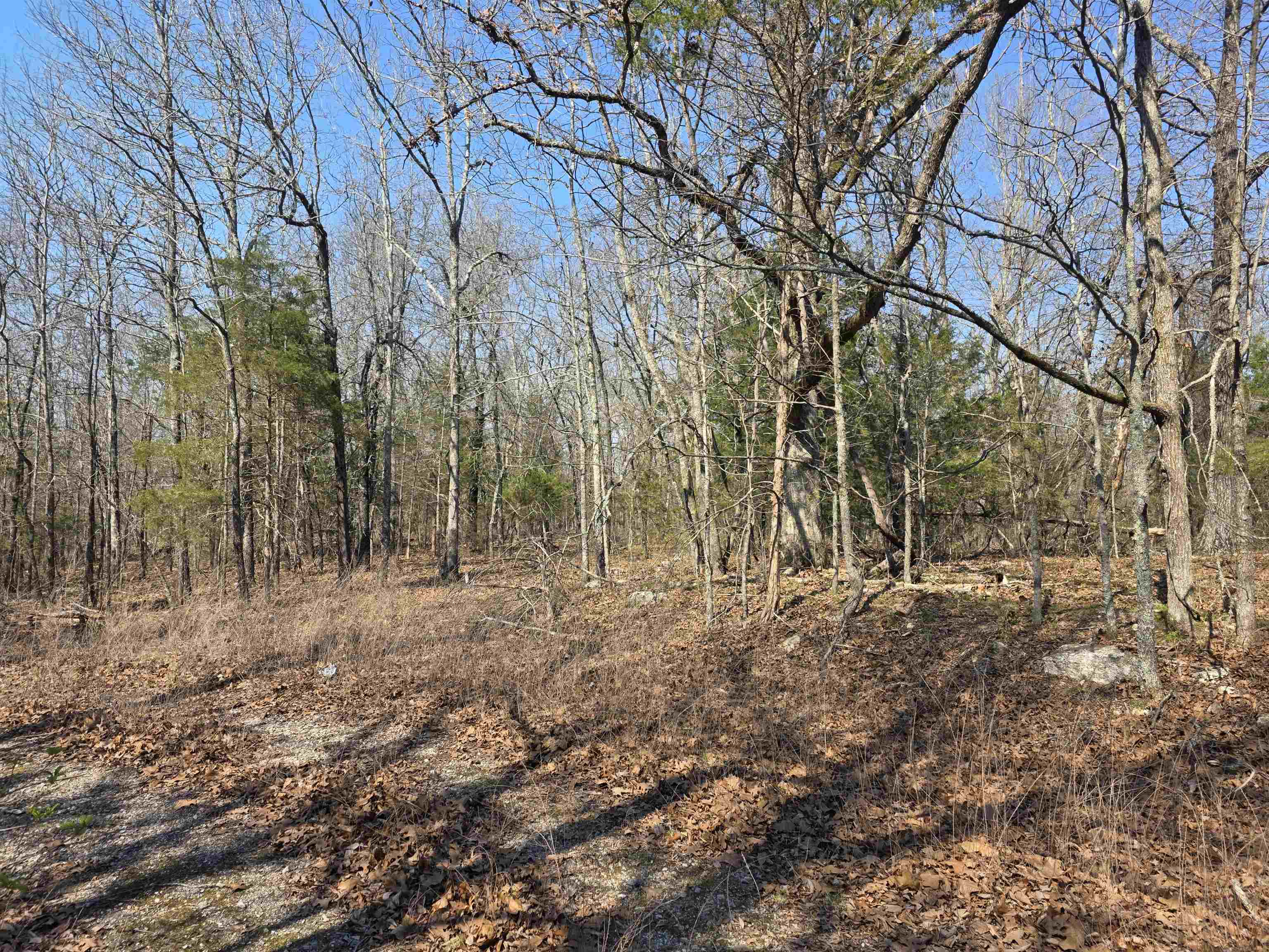 Photo 2 - Vacant Land for sale – L3 B2  Inca   Cherokee Village, AR