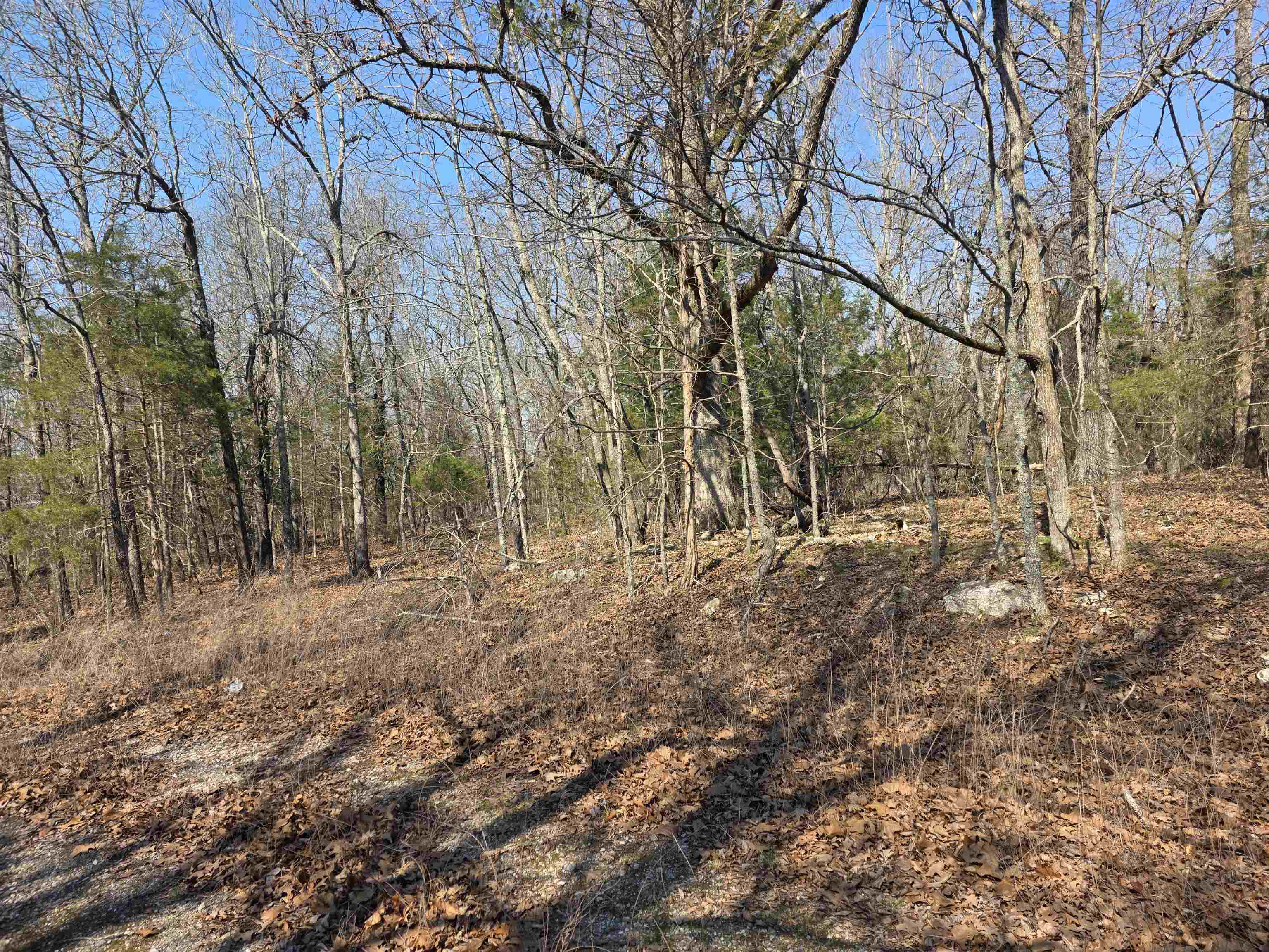 Photo 11 - Vacant Land for sale – L3 B2  Inca   Cherokee Village, AR