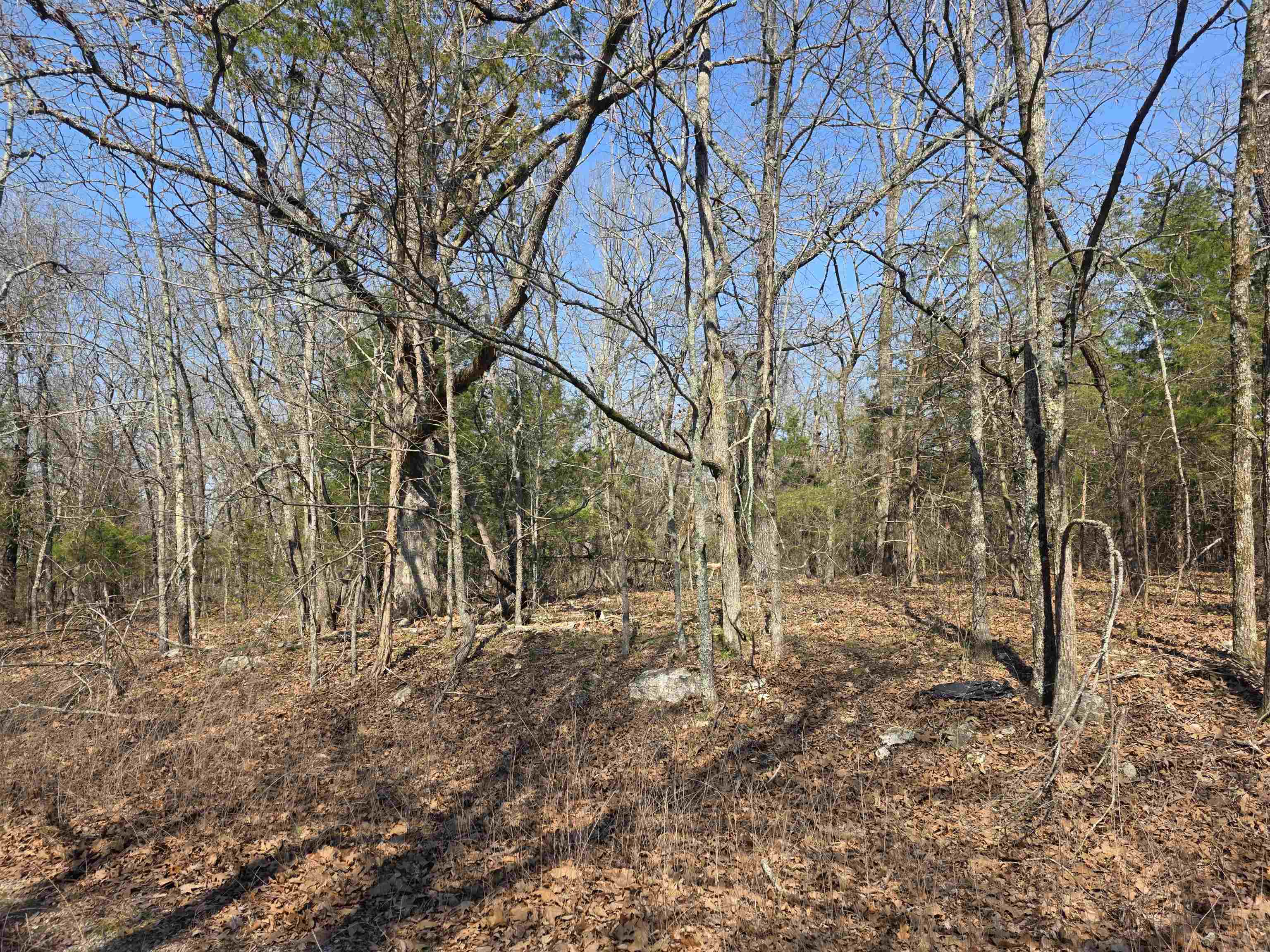 Photo 3 - Vacant Land for sale – L3 B2  Inca   Cherokee Village, AR