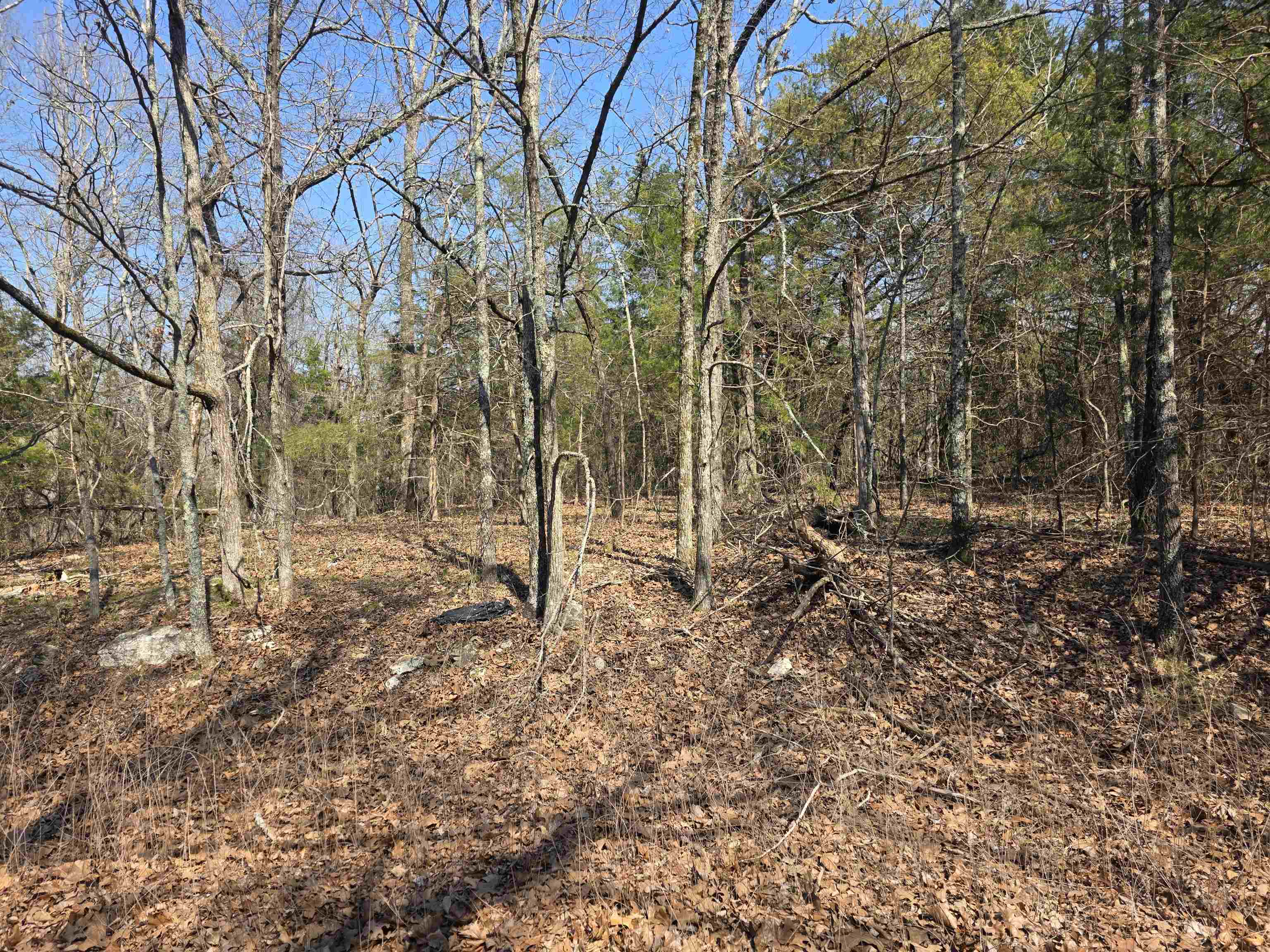 Photo 4 - Vacant Land for sale – L3 B2  Inca   Cherokee Village, AR