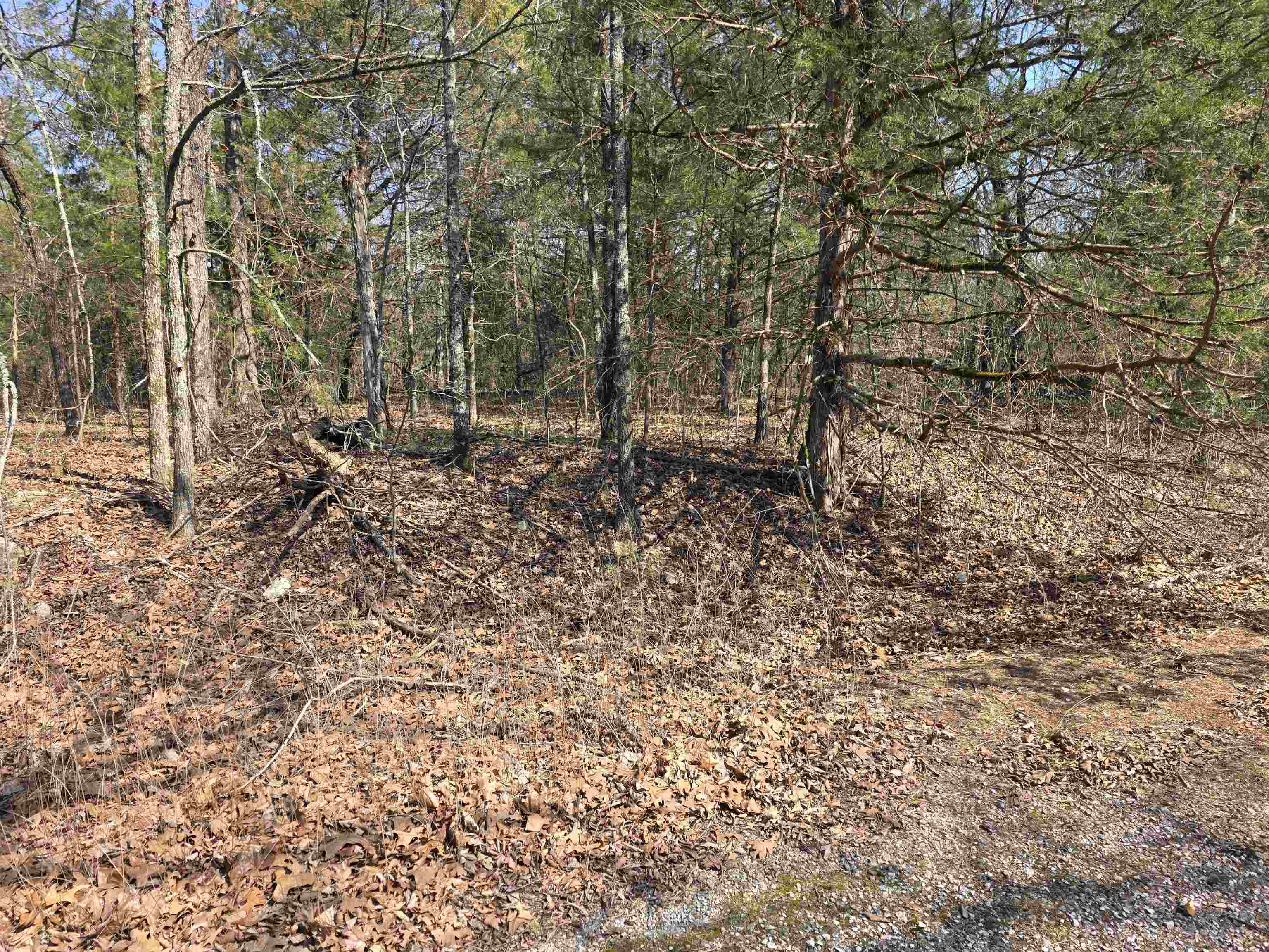 Photo 5 - Vacant Land for sale – L3 B2  Inca   Cherokee Village, AR